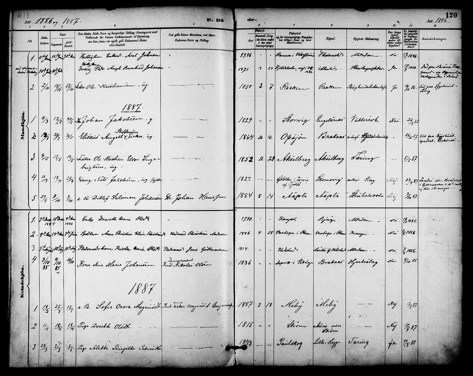 Ministerialprotokoller, klokkerbøker og fødselsregistre - Nordland, AV/SAT-A-1459/814/L0226: Parish register (official) no. 814A07, 1886-1898, p. 120