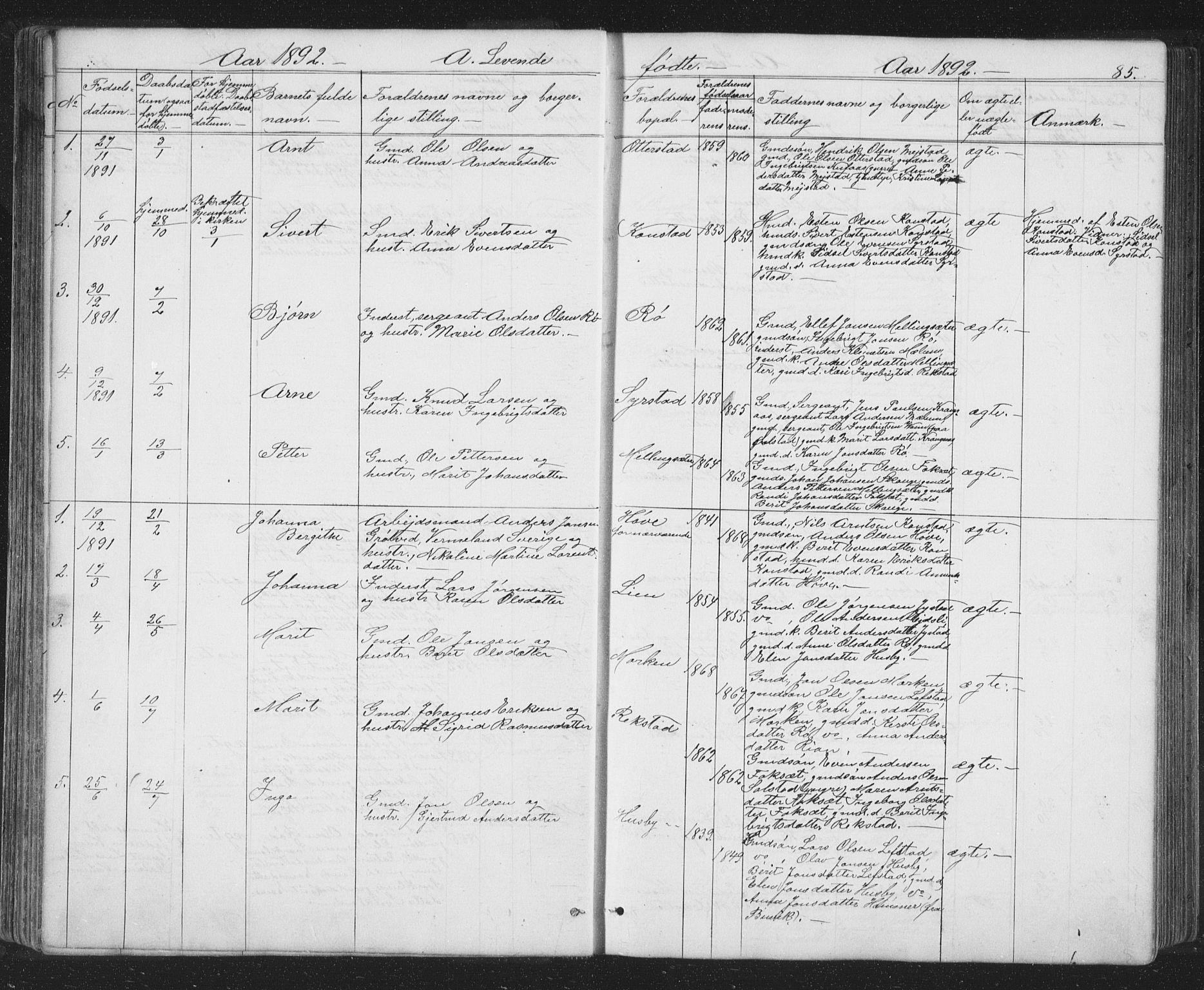 Ministerialprotokoller, klokkerbøker og fødselsregistre - Sør-Trøndelag, SAT/A-1456/667/L0798: Parish register (copy) no. 667C03, 1867-1929, p. 85