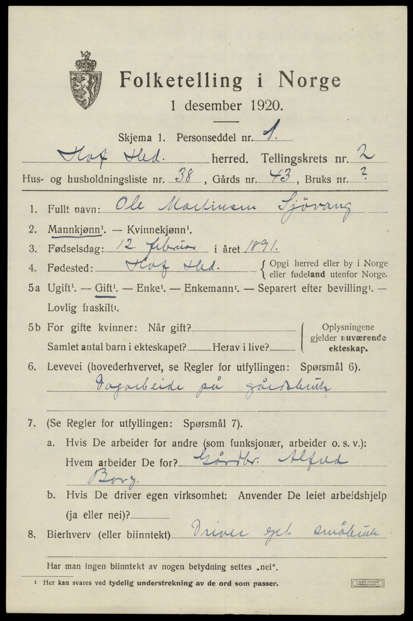 SAH, 1920 census for Hof, 1920, p. 2919