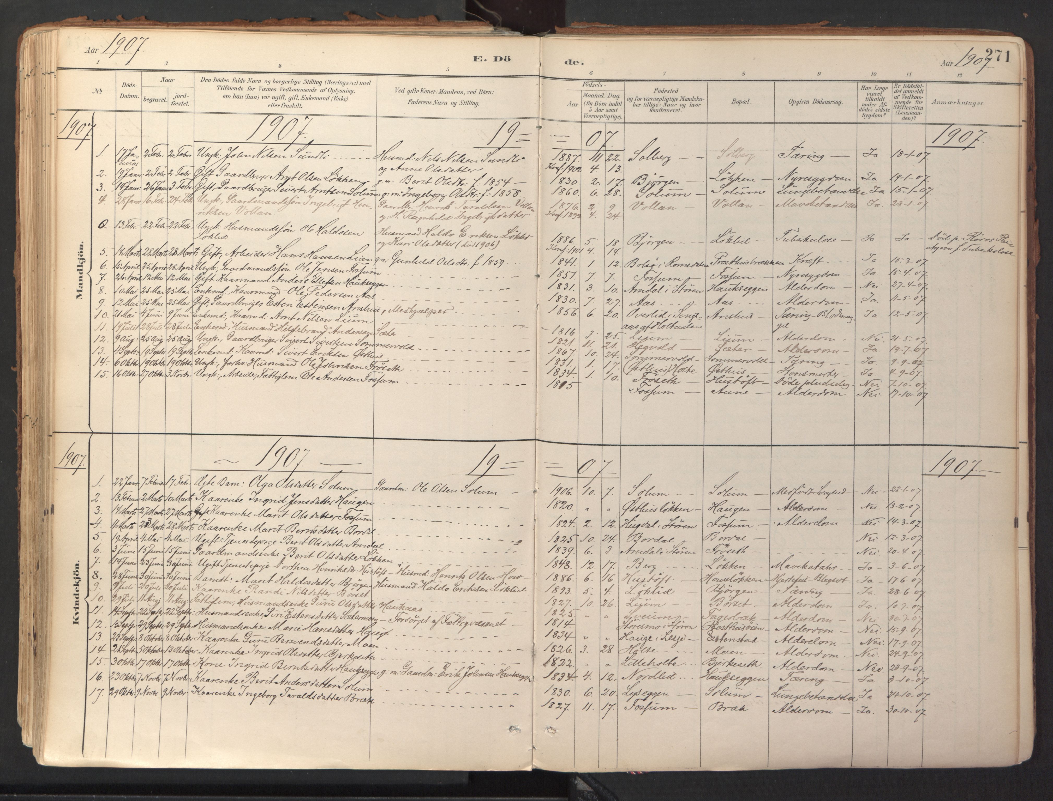 Ministerialprotokoller, klokkerbøker og fødselsregistre - Sør-Trøndelag, AV/SAT-A-1456/689/L1041: Parish register (official) no. 689A06, 1891-1923, p. 271