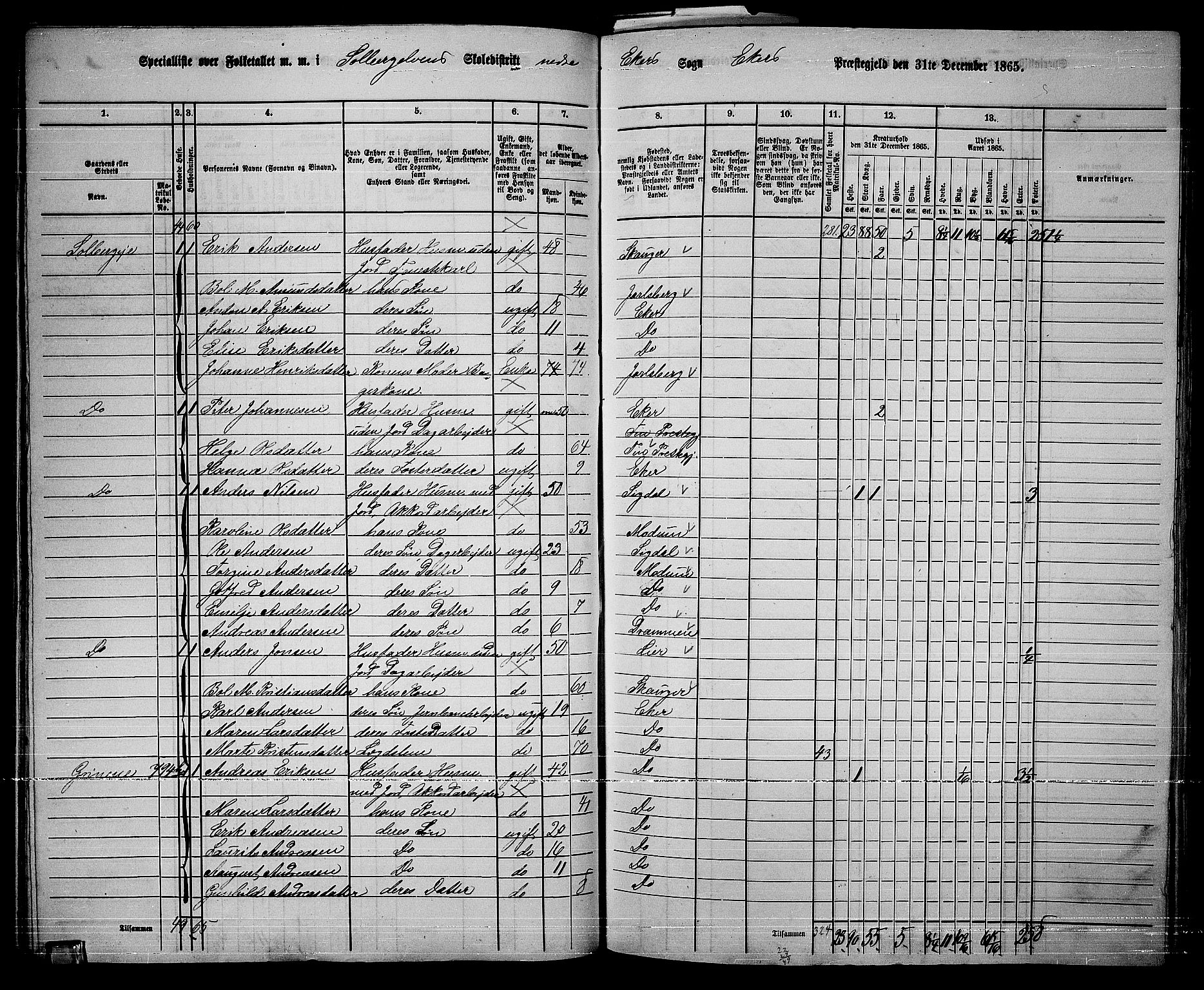 RA, 1865 census for Eiker, 1865, p. 353