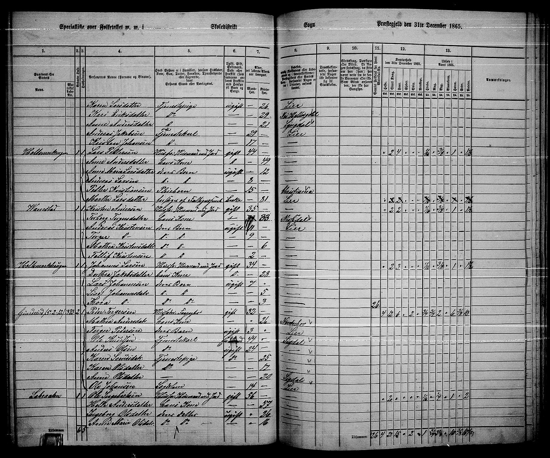 RA, 1865 census for Lier, 1865, p. 212