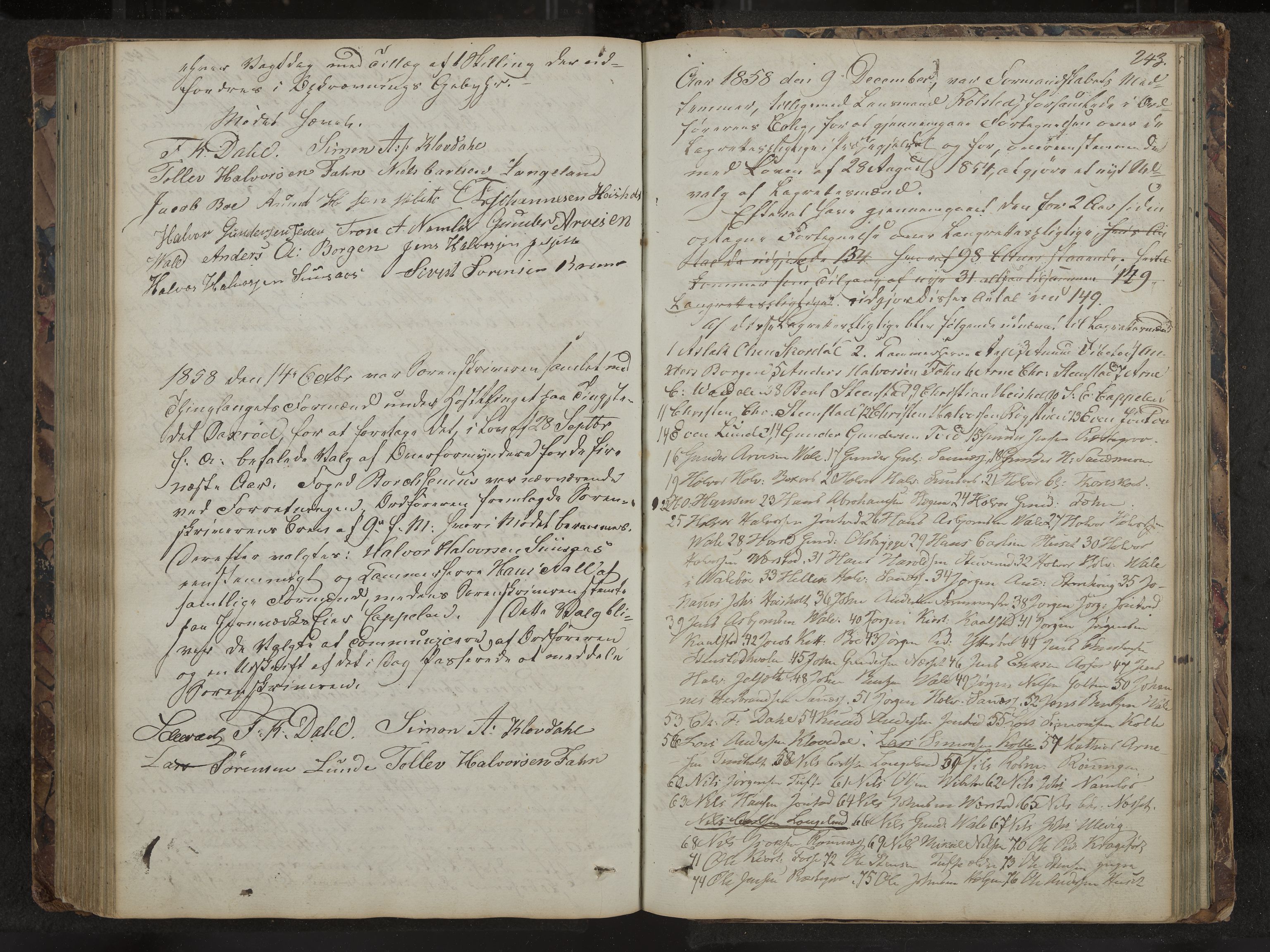 Holla formannskap og sentraladministrasjon, IKAK/0819021-1/A/L0001: Møtebok, 1837-1864, p. 243