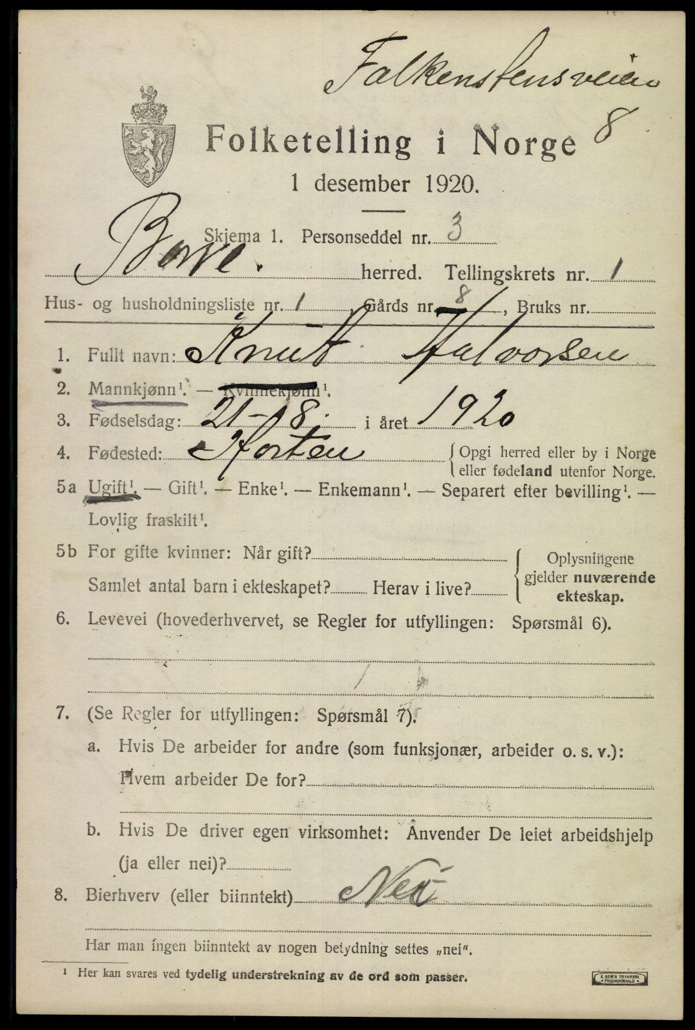 SAKO, 1920 census for Borre, 1920, p. 1382