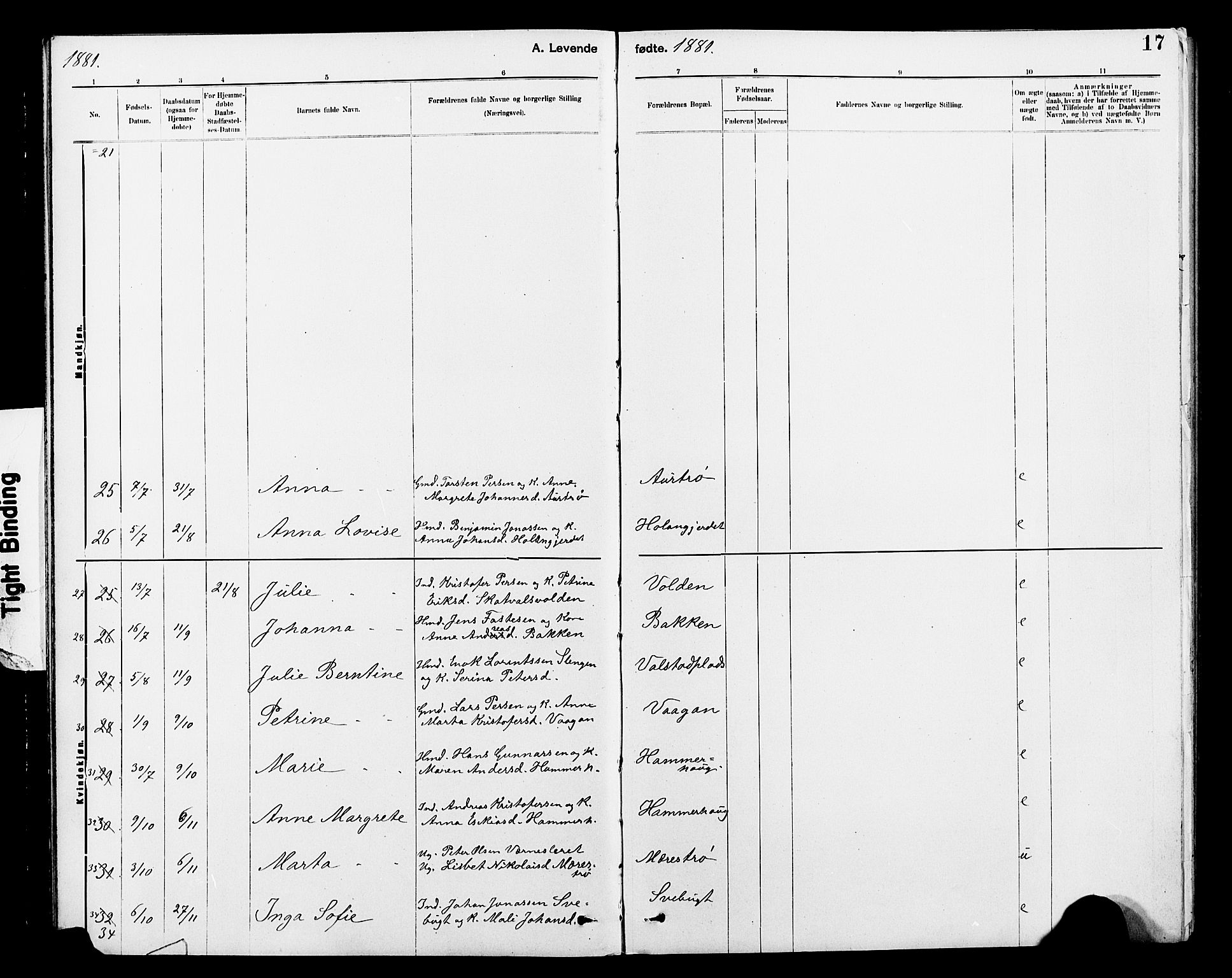Ministerialprotokoller, klokkerbøker og fødselsregistre - Nord-Trøndelag, SAT/A-1458/712/L0103: Parish register (copy) no. 712C01, 1878-1917, p. 17