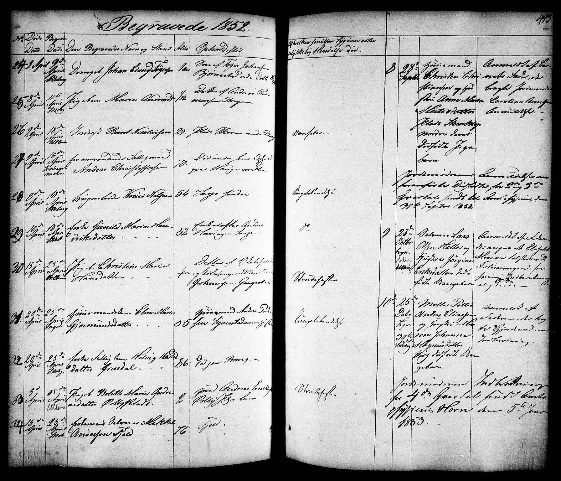 Skjeberg prestekontor Kirkebøker, AV/SAO-A-10923/F/Fa/L0006: Parish register (official) no. I 6, 1846-1858, p. 493