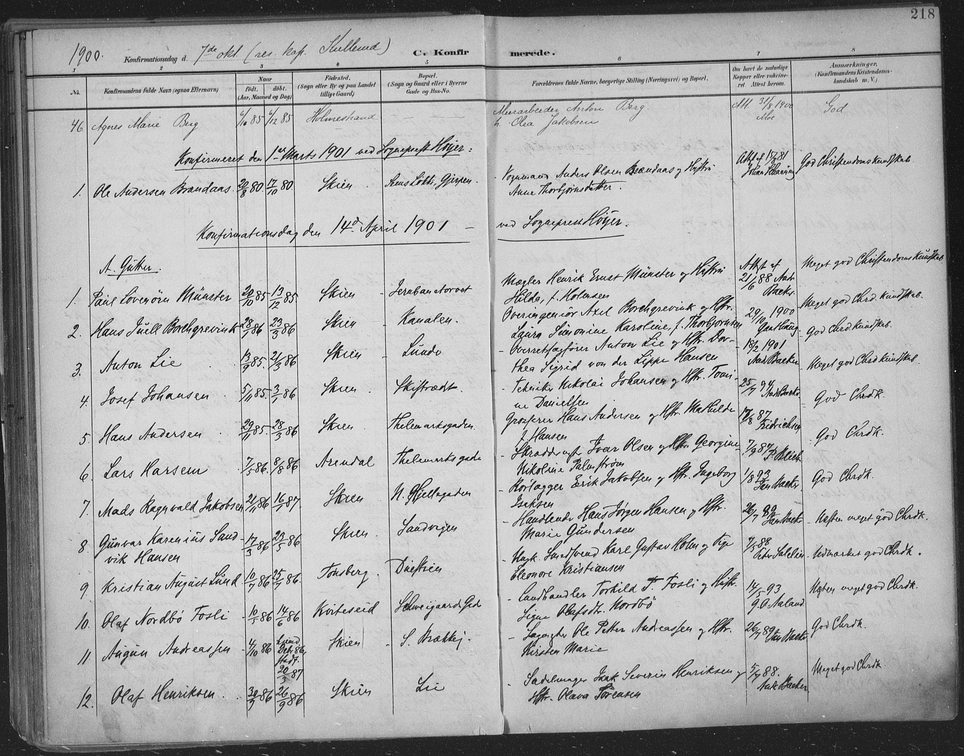 Skien kirkebøker, SAKO/A-302/F/Fa/L0011: Parish register (official) no. 11, 1900-1907, p. 218