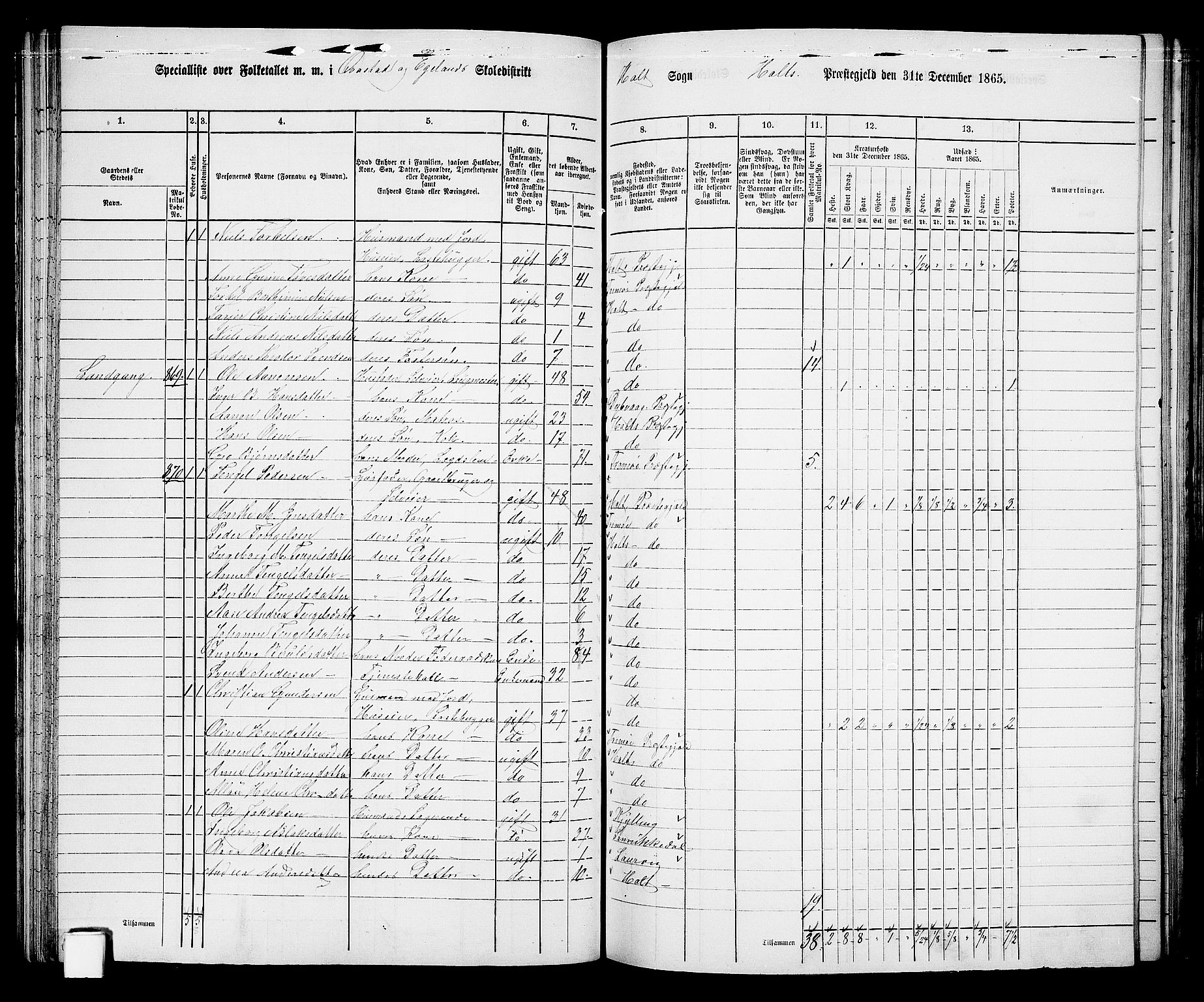 RA, 1865 census for Holt/Holt, 1865, p. 58