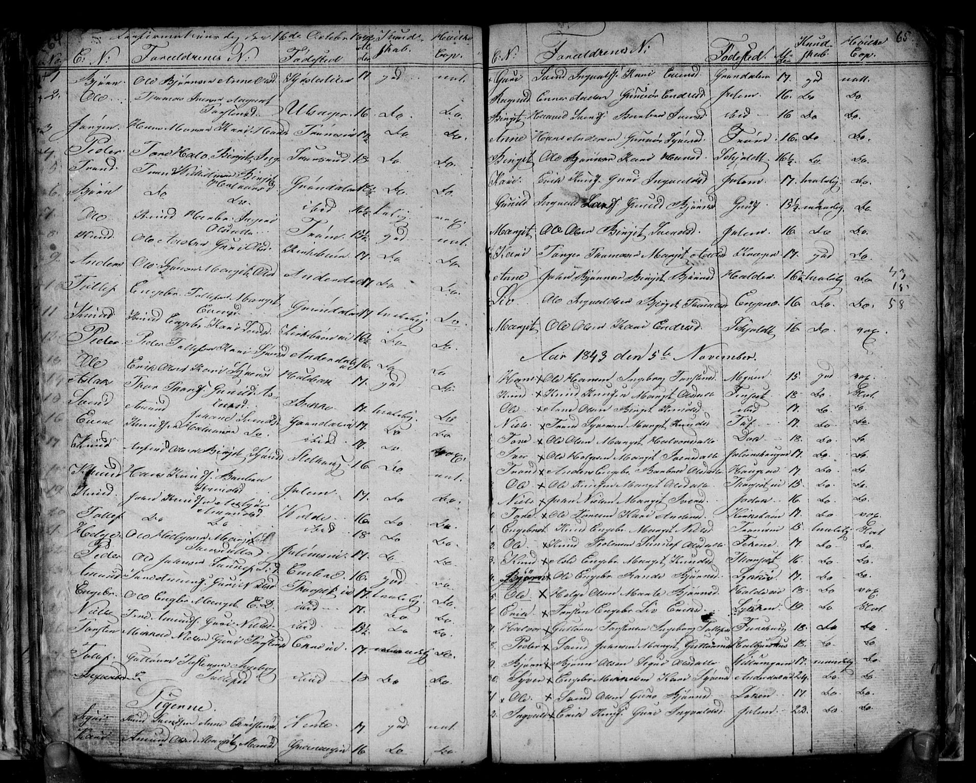 Gol kirkebøker, SAKO/A-226/G/Gb/L0002: Parish register (copy) no. II 2, 1838-1844, p. 64-65