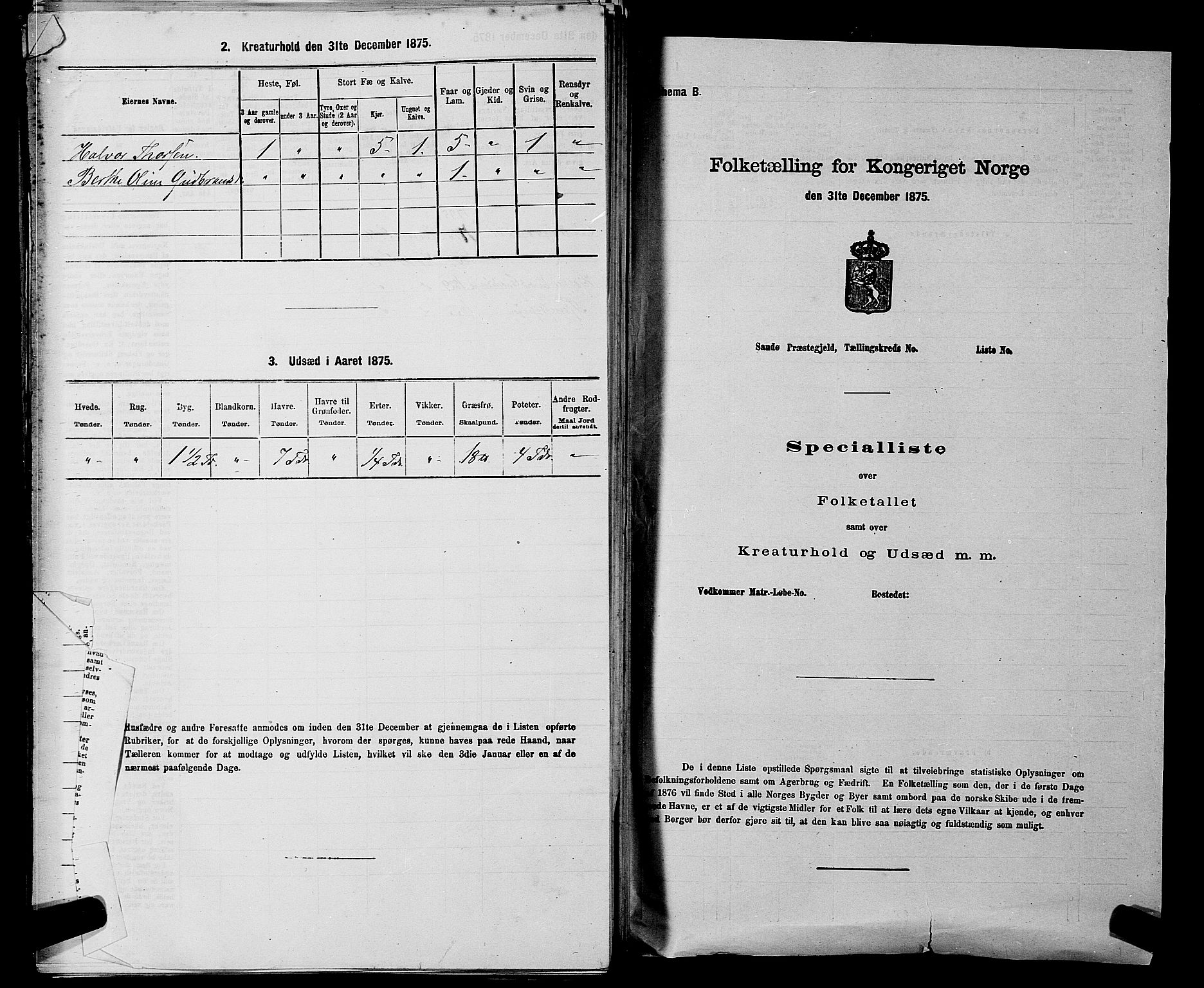 RA, 1875 census for 0238P Nannestad, 1875, p. 710