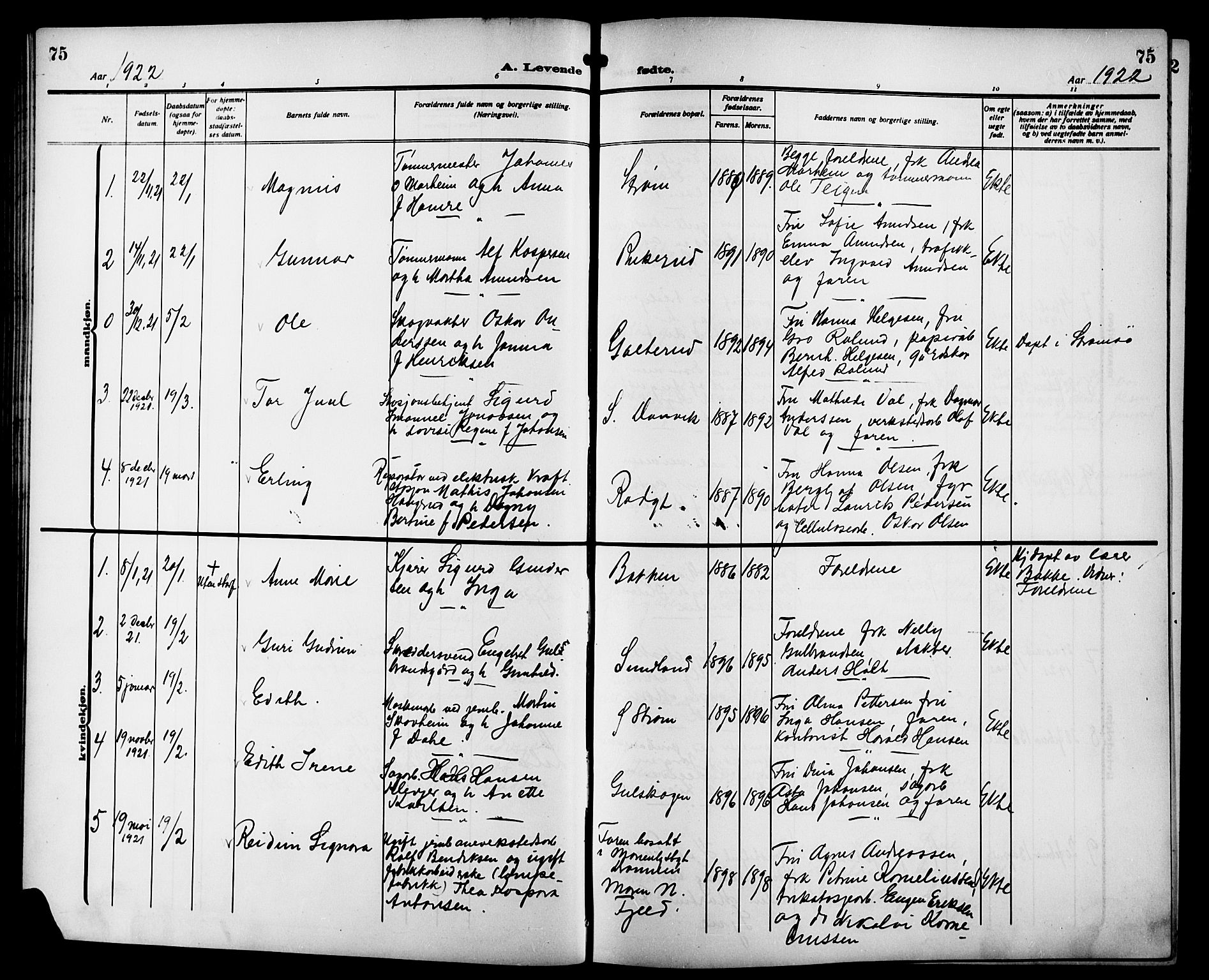 Strømsgodset kirkebøker, AV/SAKO-A-324/G/Ga/L0003: Parish register (copy) no. 3, 1911-1926, p. 75