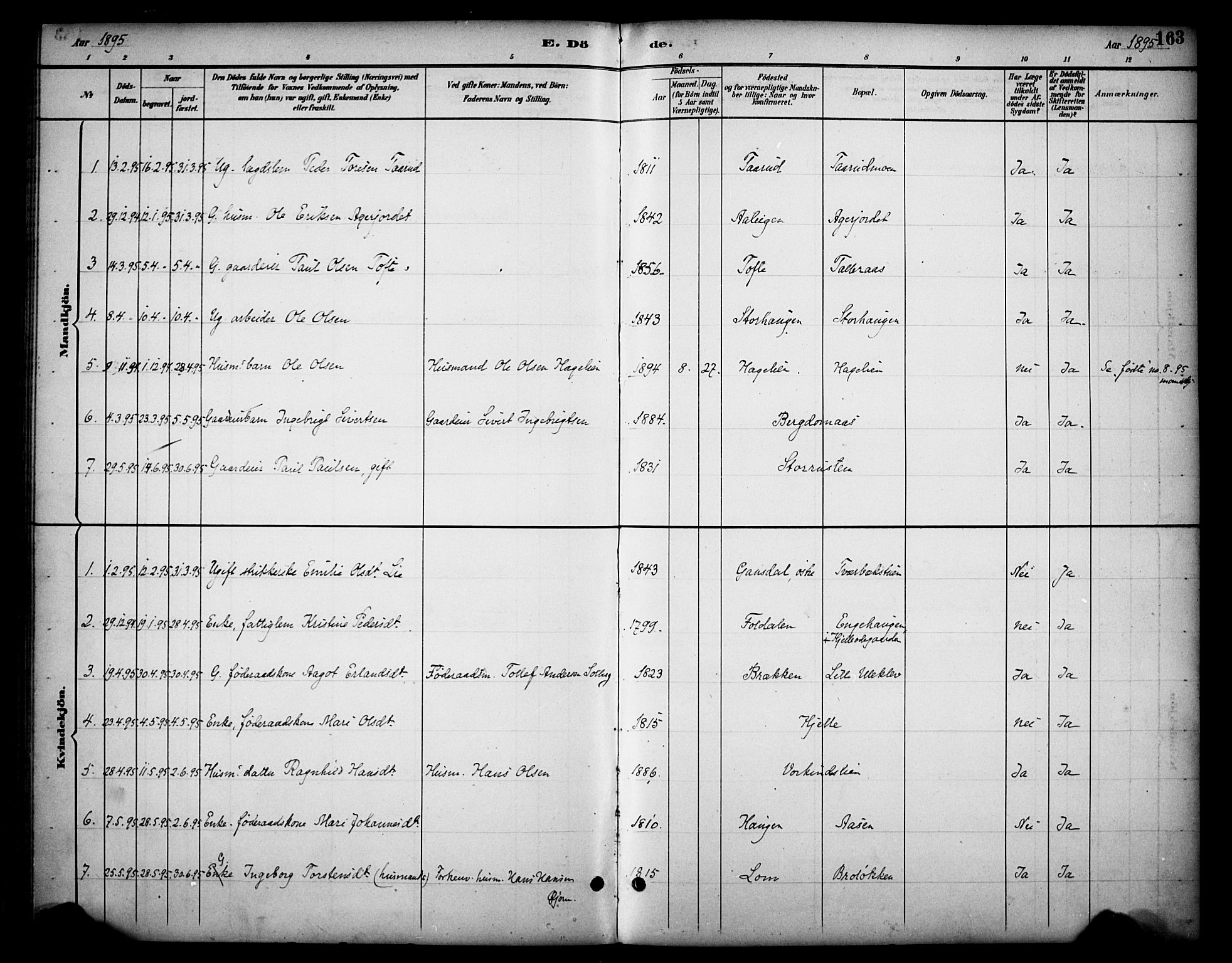 Dovre prestekontor, SAH/PREST-066/H/Ha/Haa/L0003: Parish register (official) no. 3, 1891-1901, p. 163