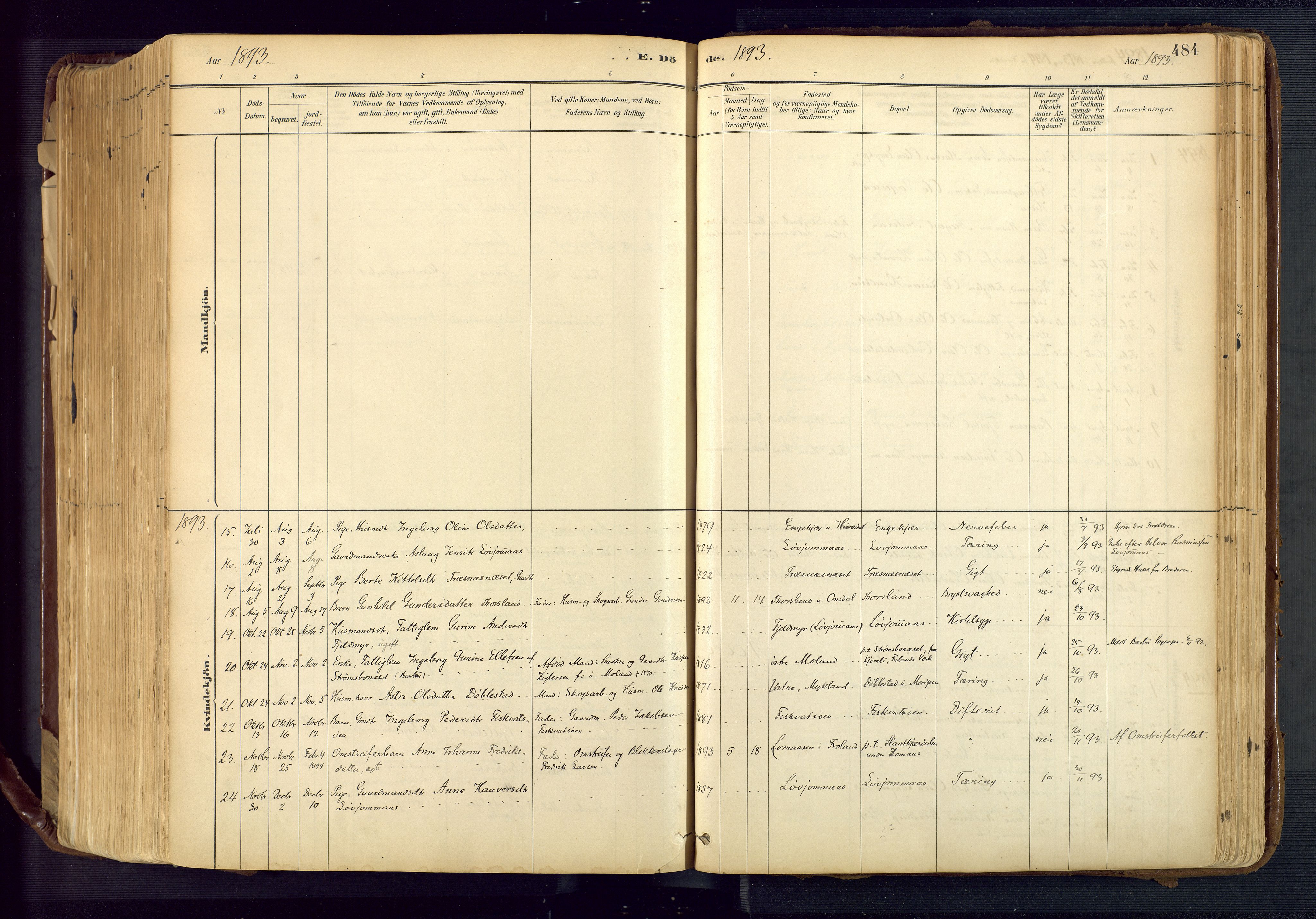 Froland sokneprestkontor, AV/SAK-1111-0013/F/Fa/L0005: Parish register (official) no. A 5, 1882-1921, p. 484