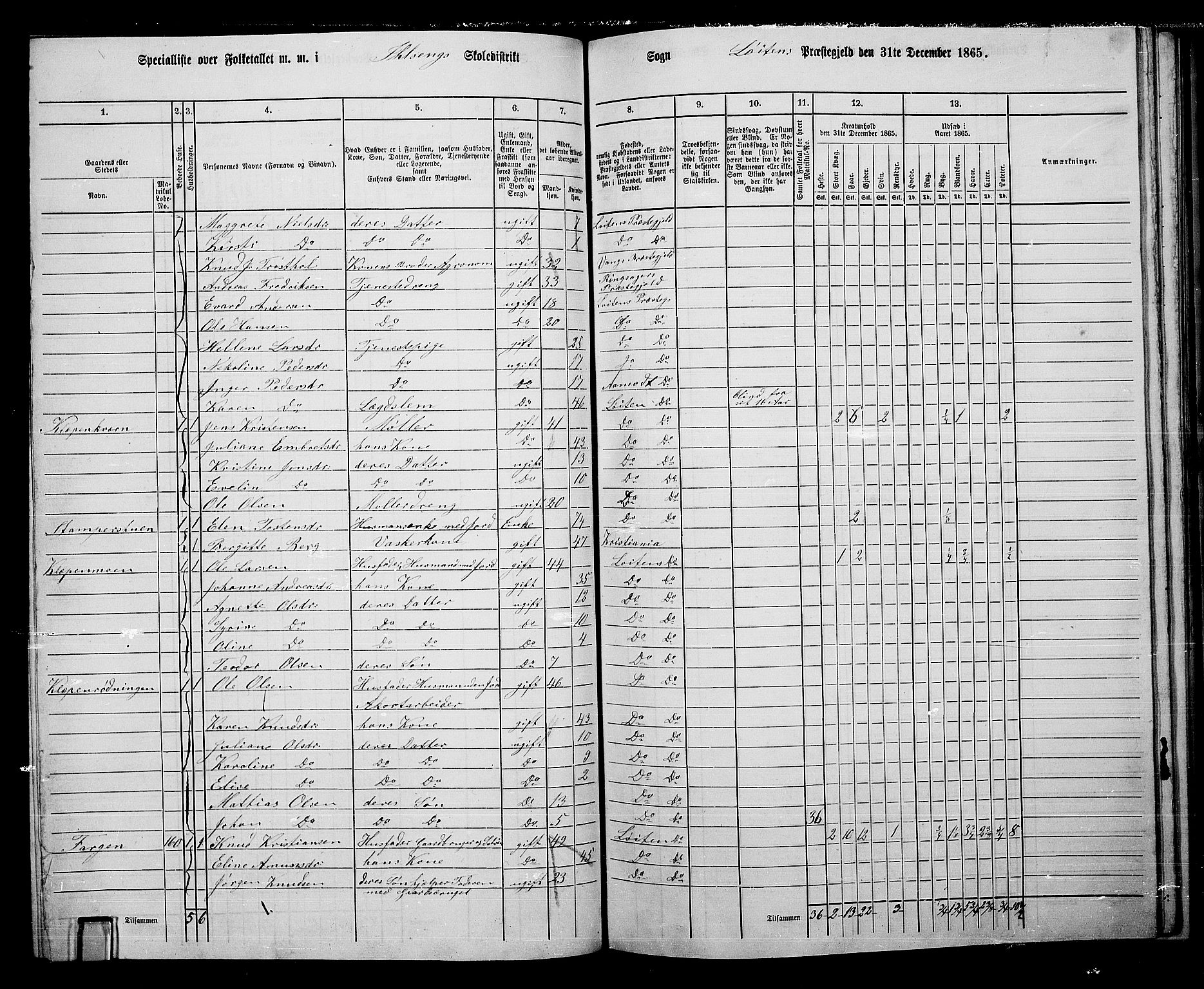 RA, 1865 census for Løten, 1865, p. 74