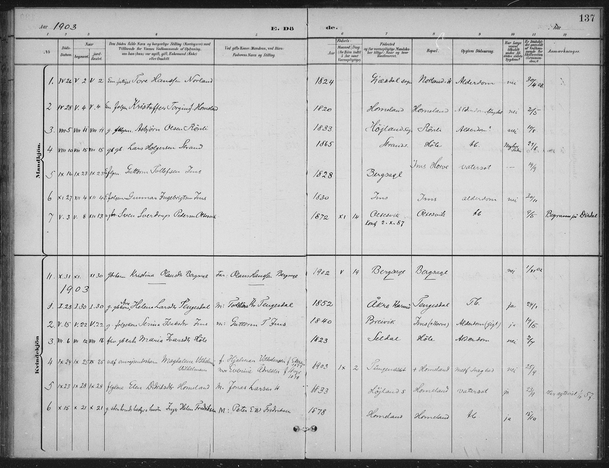 Høgsfjord sokneprestkontor, SAST/A-101624/H/Ha/Haa/L0008: Parish register (official) no. A 8, 1898-1920, p. 137