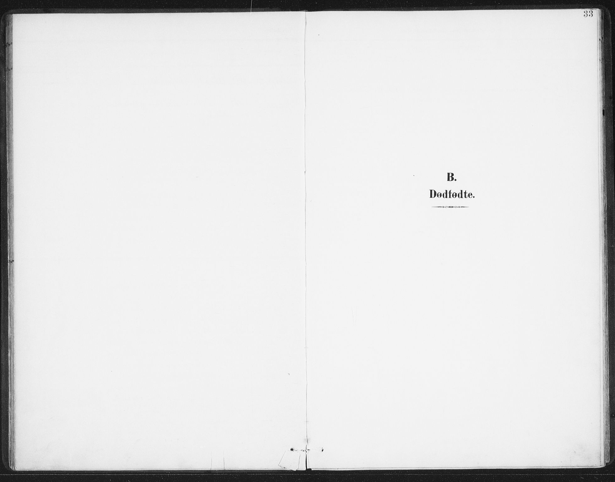 Ministerialprotokoller, klokkerbøker og fødselsregistre - Nordland, SAT/A-1459/811/L0167: Parish register (official) no. 811A04, 1899-1913, p. 33