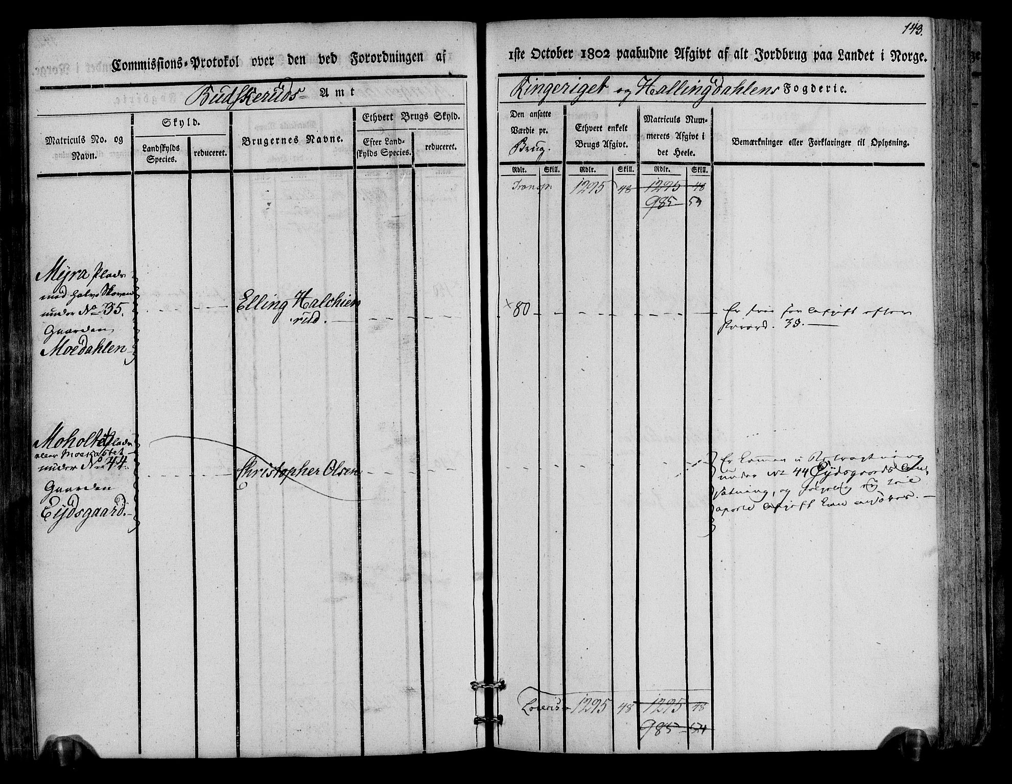 Rentekammeret inntil 1814, Realistisk ordnet avdeling, AV/RA-EA-4070/N/Ne/Nea/L0045: Ringerike og Hallingdal fogderi. Kommisjonsprotokoll for Norderhov prestegjeld, 1803, p. 146