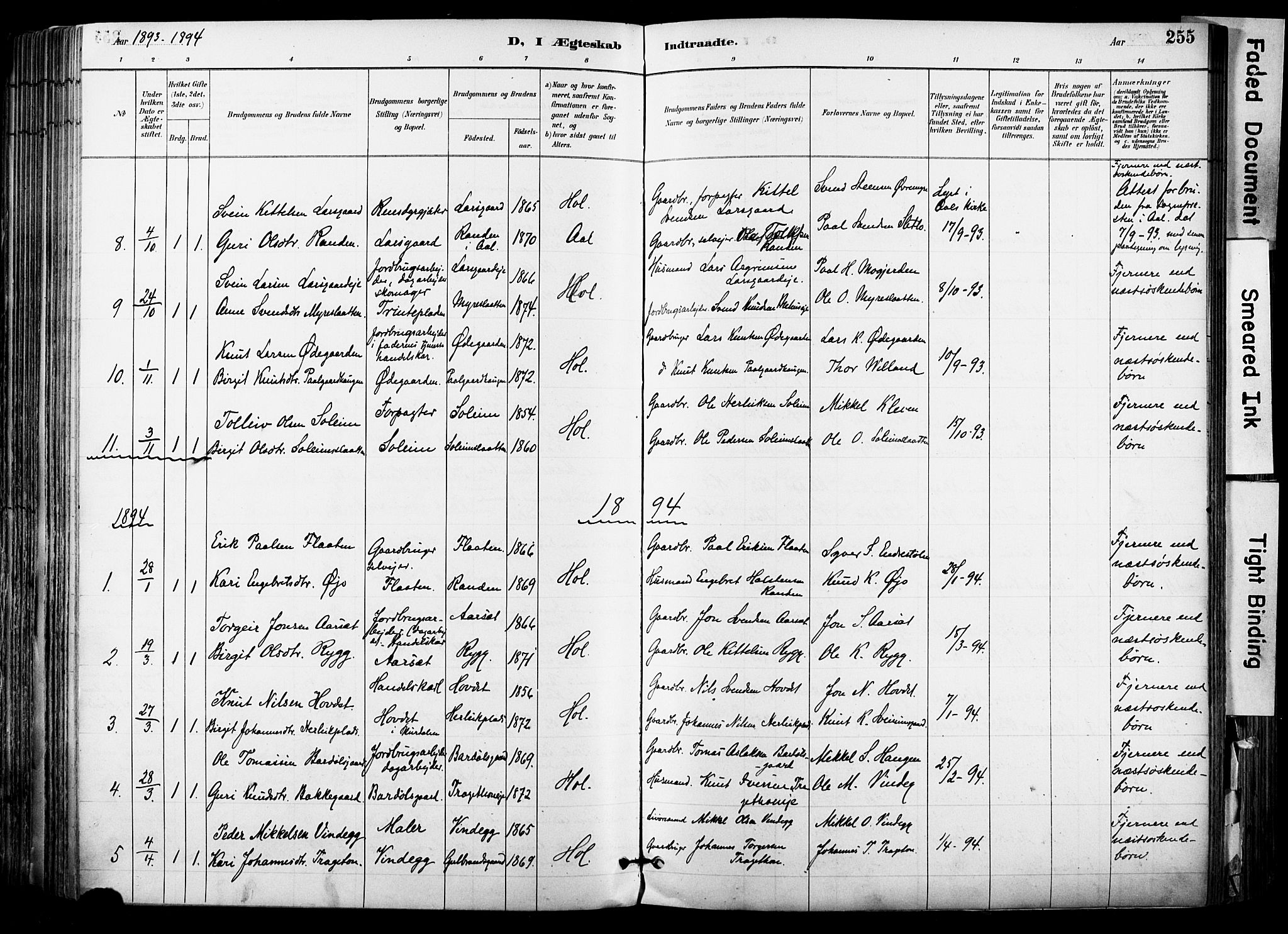 Hol kirkebøker, SAKO/A-227/F/Fa/L0003: Parish register (official) no. I 3, 1887-1918, p. 255