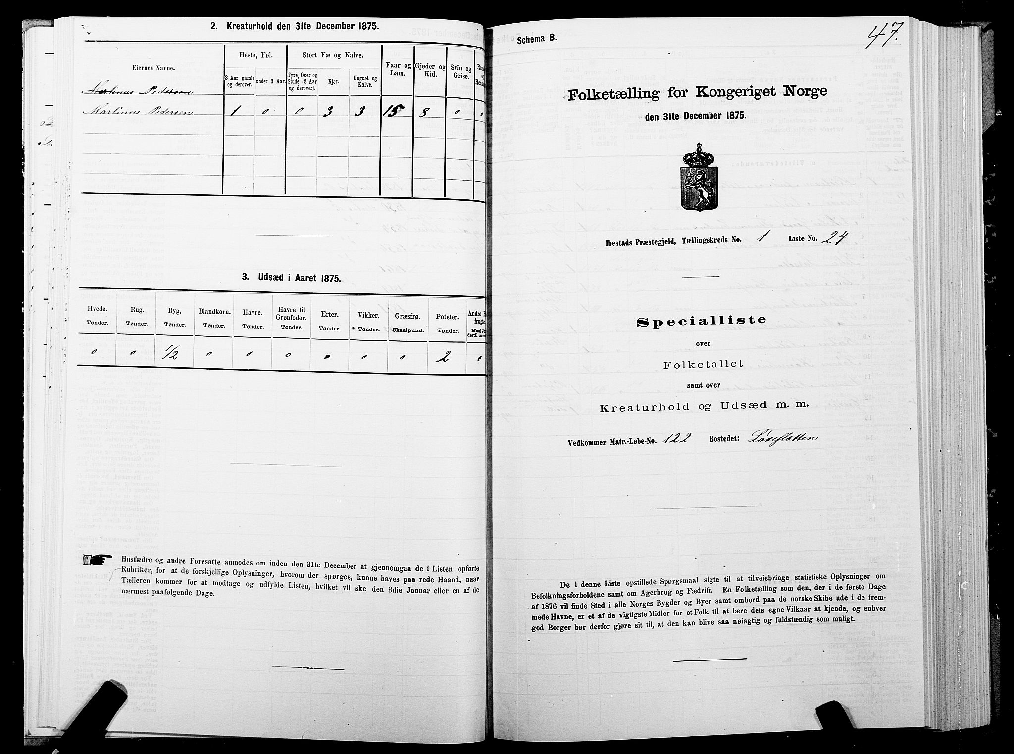 SATØ, 1875 census for 1917P Ibestad, 1875, p. 1047