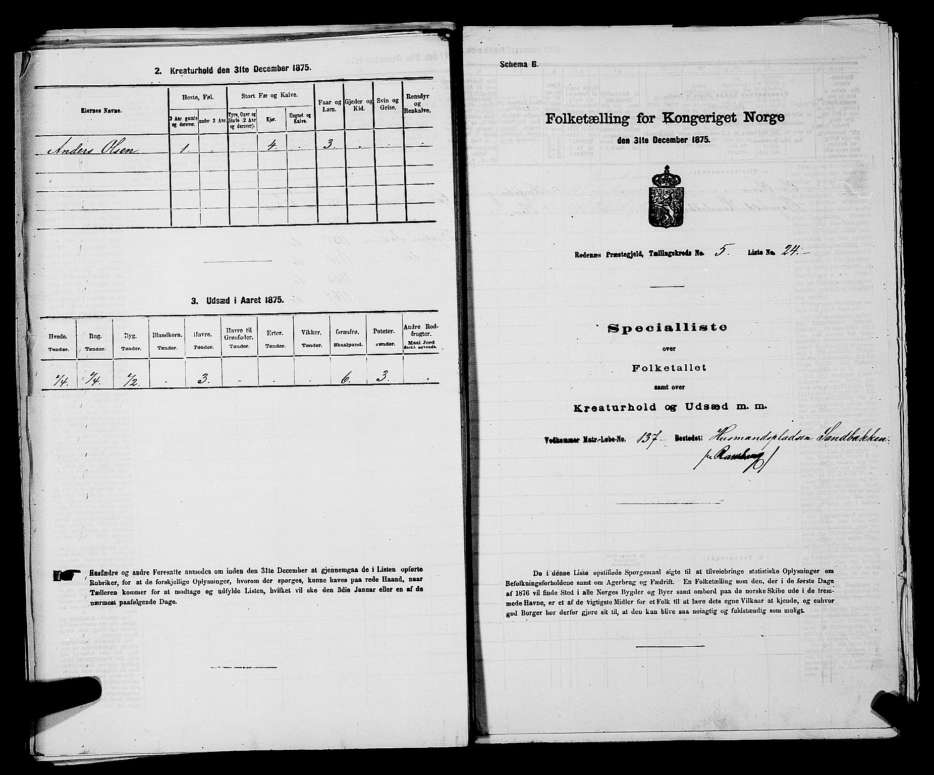 RA, 1875 census for 0120P Rødenes, 1875, p. 773