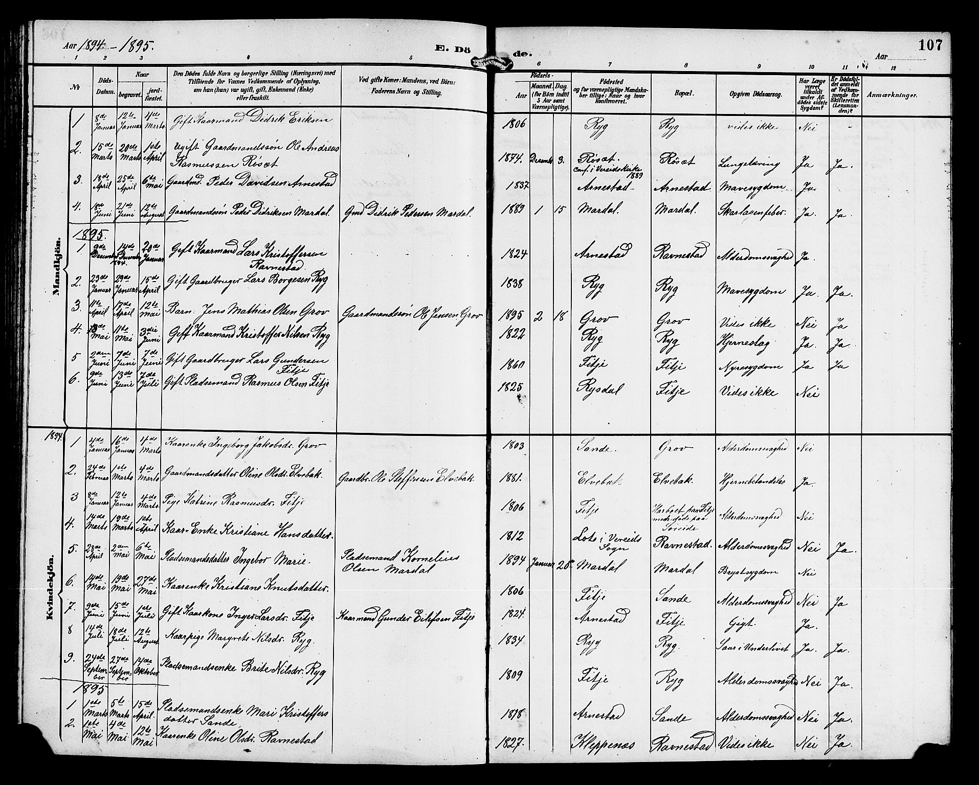 Gloppen sokneprestembete, AV/SAB-A-80101/H/Hab/Habd/L0001: Parish register (copy) no. D 1, 1892-1921, p. 107