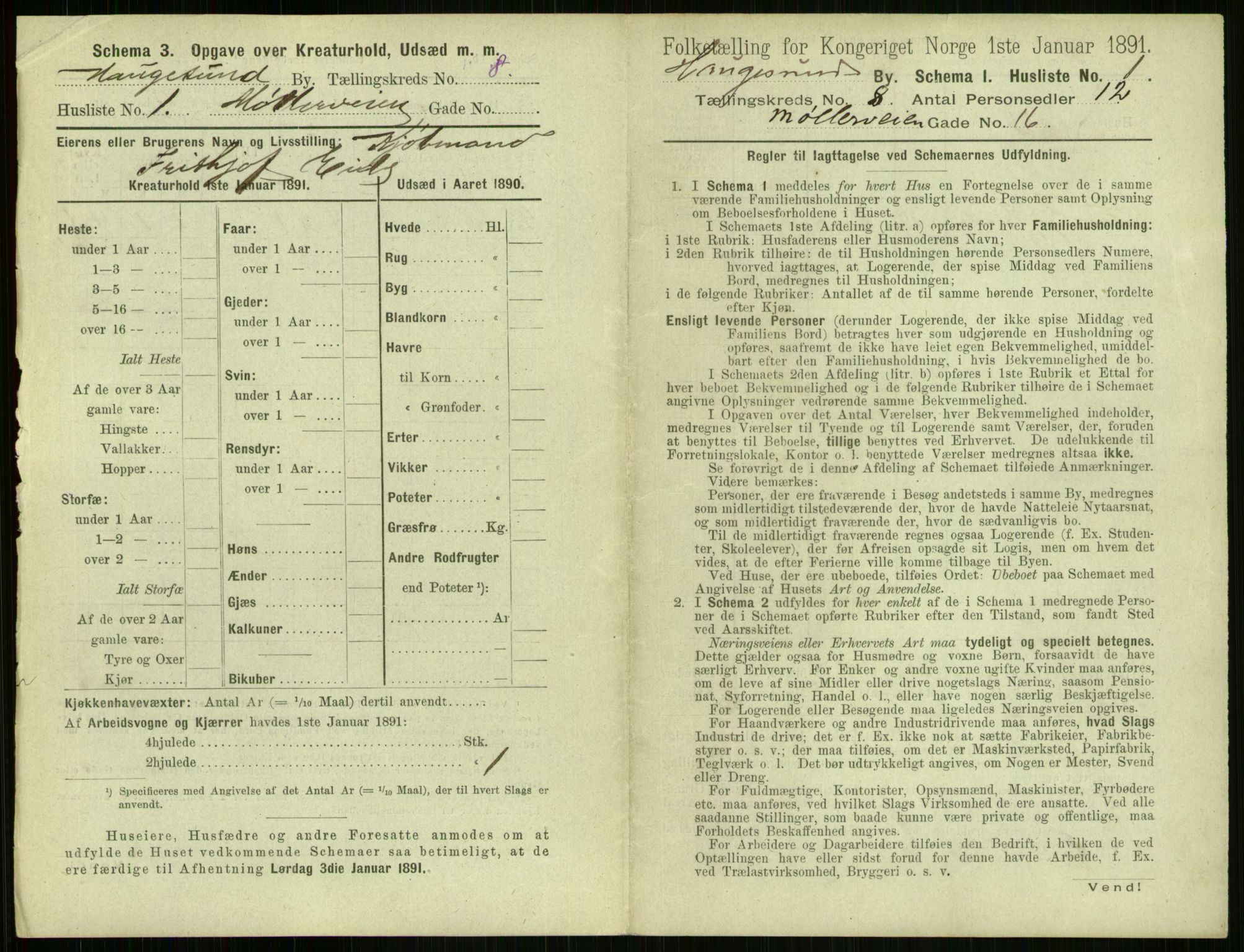 RA, 1891 census for 1106 Haugesund, 1891, p. 573