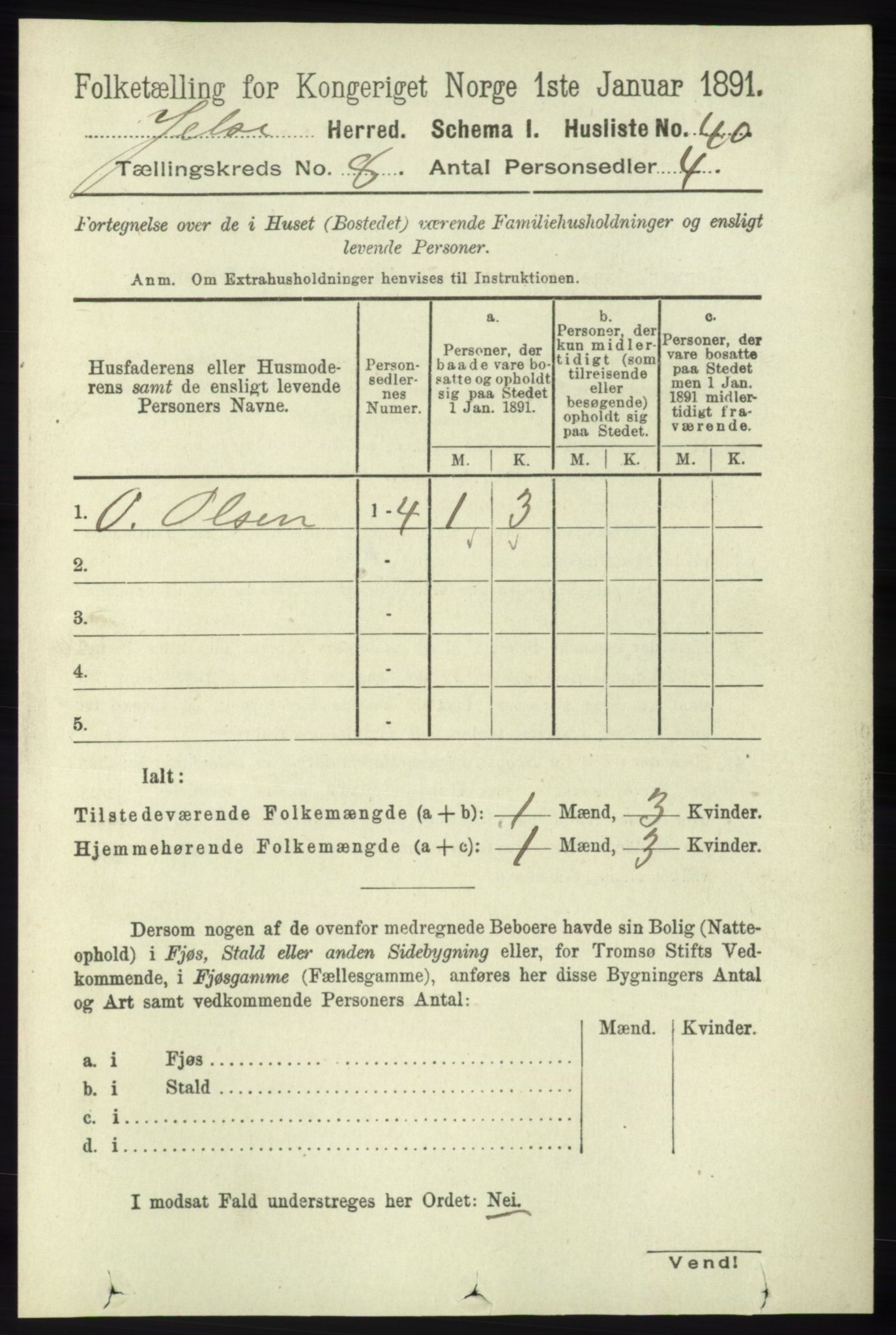 RA, 1891 census for 1138 Jelsa, 1891, p. 1796