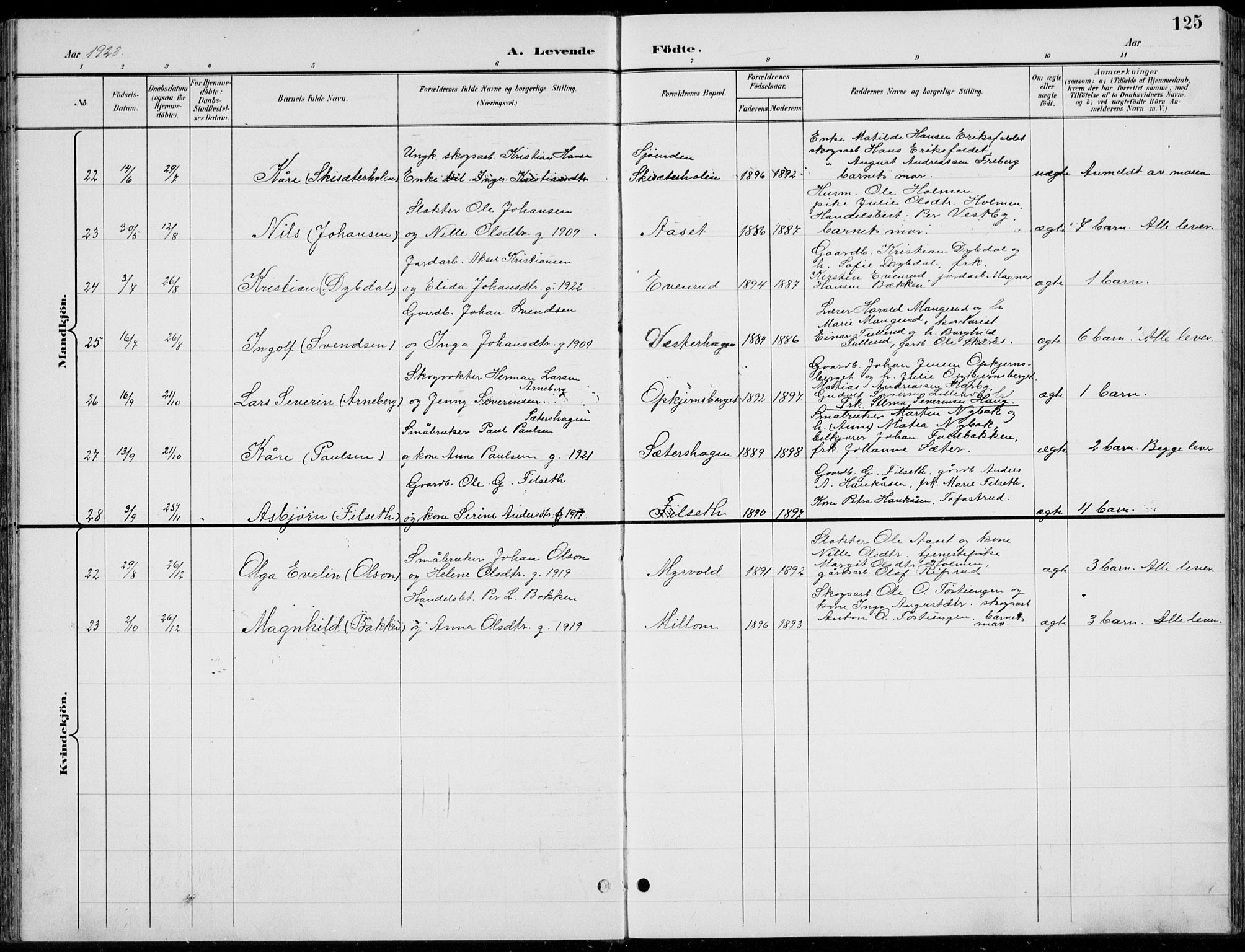 Romedal prestekontor, AV/SAH-PREST-004/L/L0013: Parish register (copy) no. 13, 1896-1937, p. 125