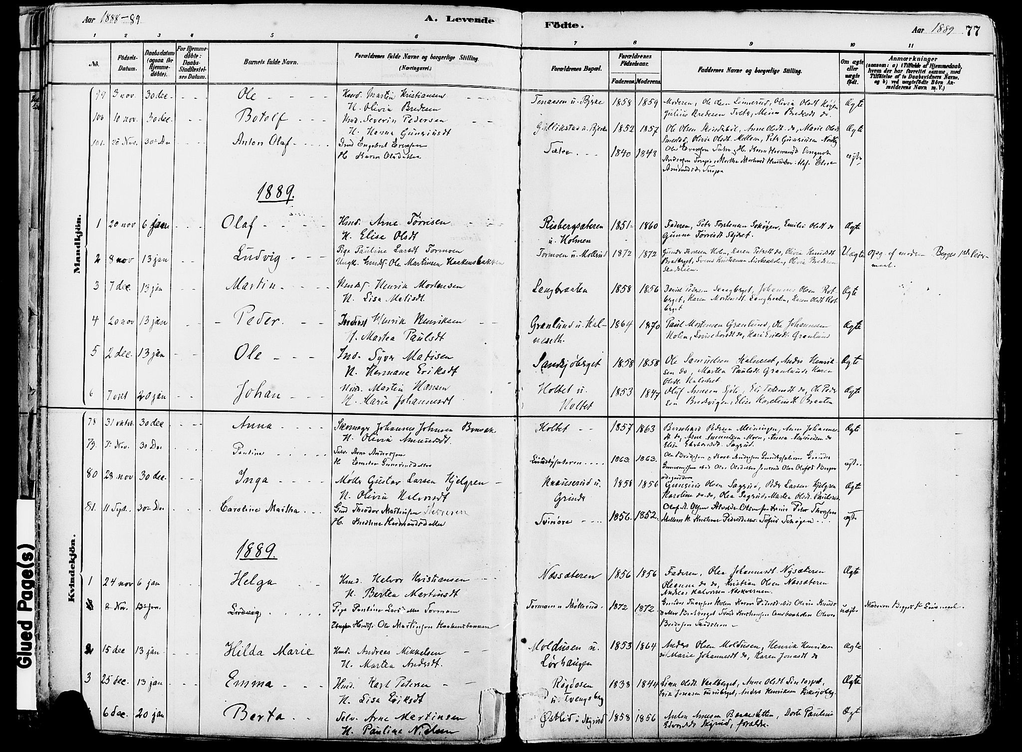 Grue prestekontor, SAH/PREST-036/H/Ha/Haa/L0012: Parish register (official) no. 12, 1881-1897, p. 77