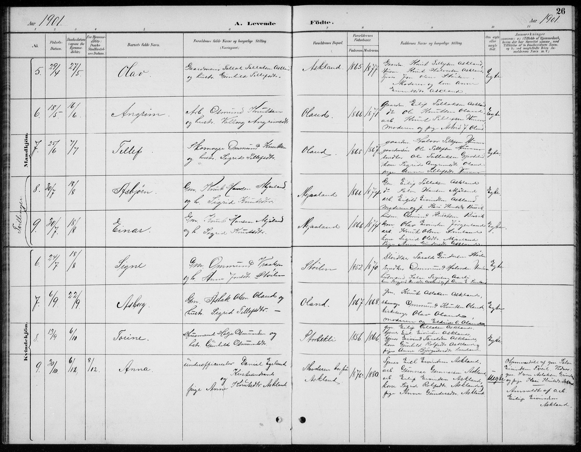 Åmli sokneprestkontor, AV/SAK-1111-0050/F/Fb/Fba/L0002: Parish register (copy) no. B 2, 1890-1912, p. 26