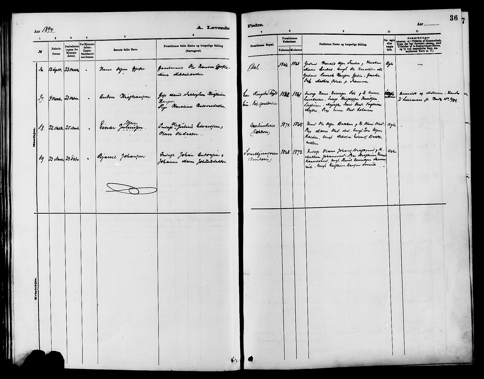 Nordre Land prestekontor, SAH/PREST-124/H/Ha/Haa/L0003: Parish register (official) no. 3, 1882-1896, p. 36