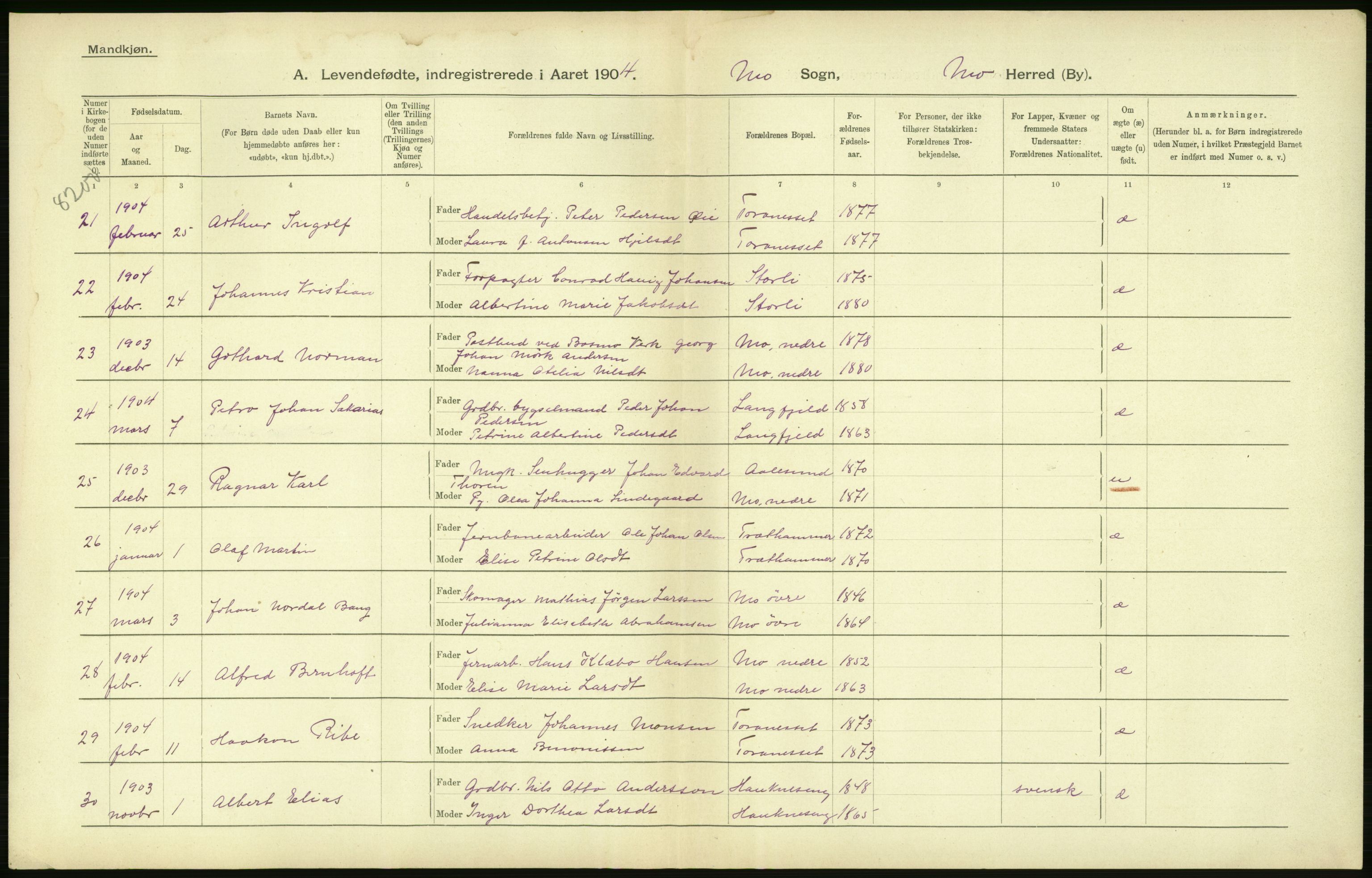 Statistisk sentralbyrå, Sosiodemografiske emner, Befolkning, AV/RA-S-2228/D/Df/Dfa/Dfab/L0020: Nordlands amt: Fødte. Bygder, 1904, p. 12