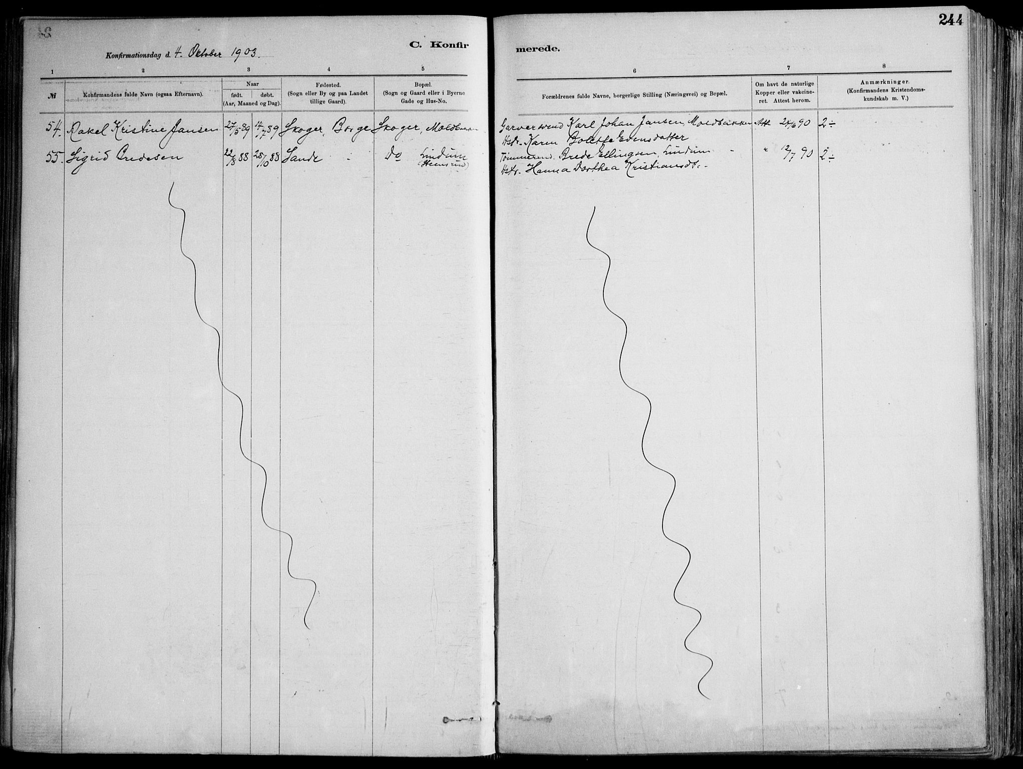 Skoger kirkebøker, AV/SAKO-A-59/F/Fa/L0006: Parish register (official) no. I 6, 1885-1910, p. 244