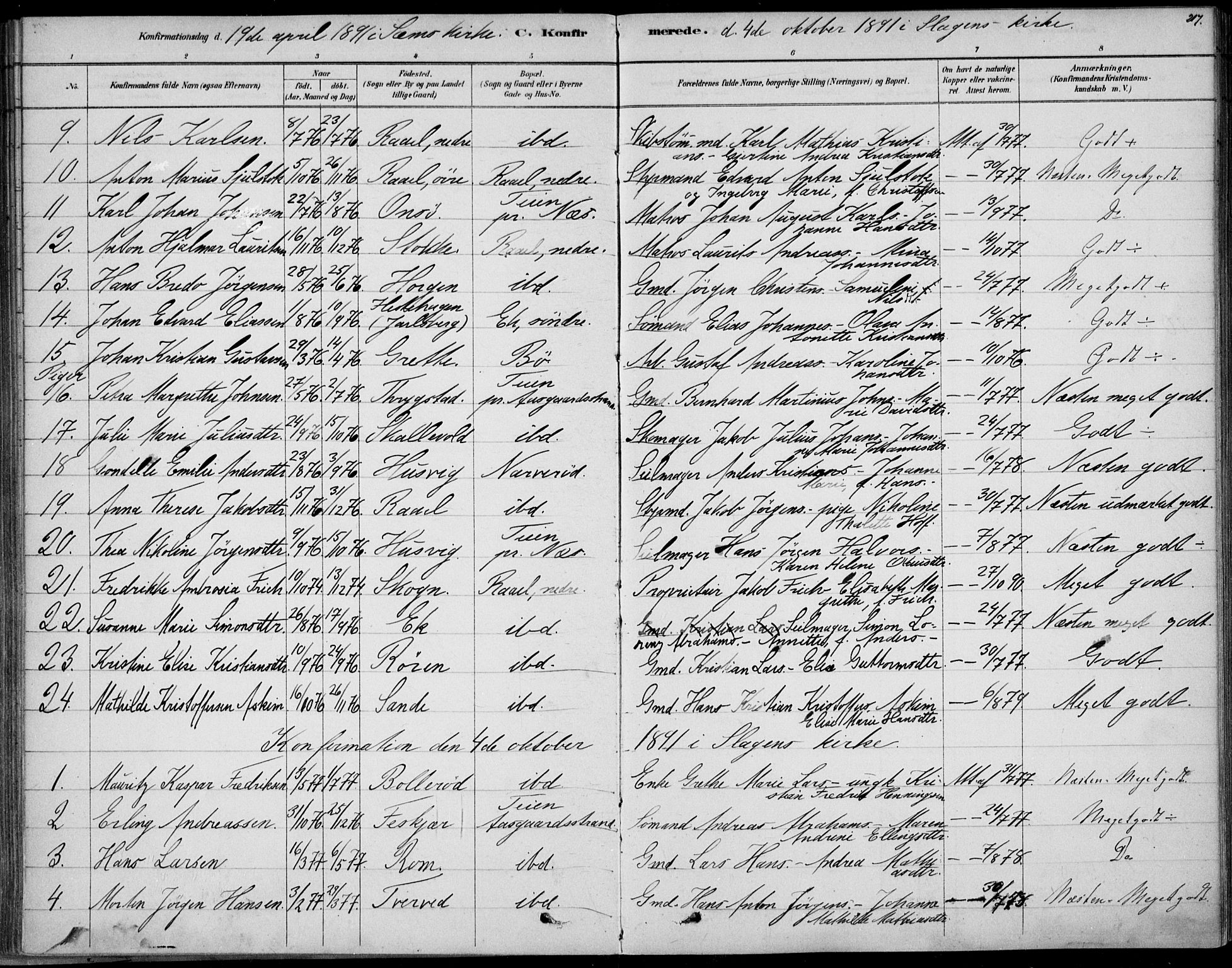 Sem kirkebøker, SAKO/A-5/F/Fb/L0004: Parish register (official) no. II 4, 1878-1891, p. 217