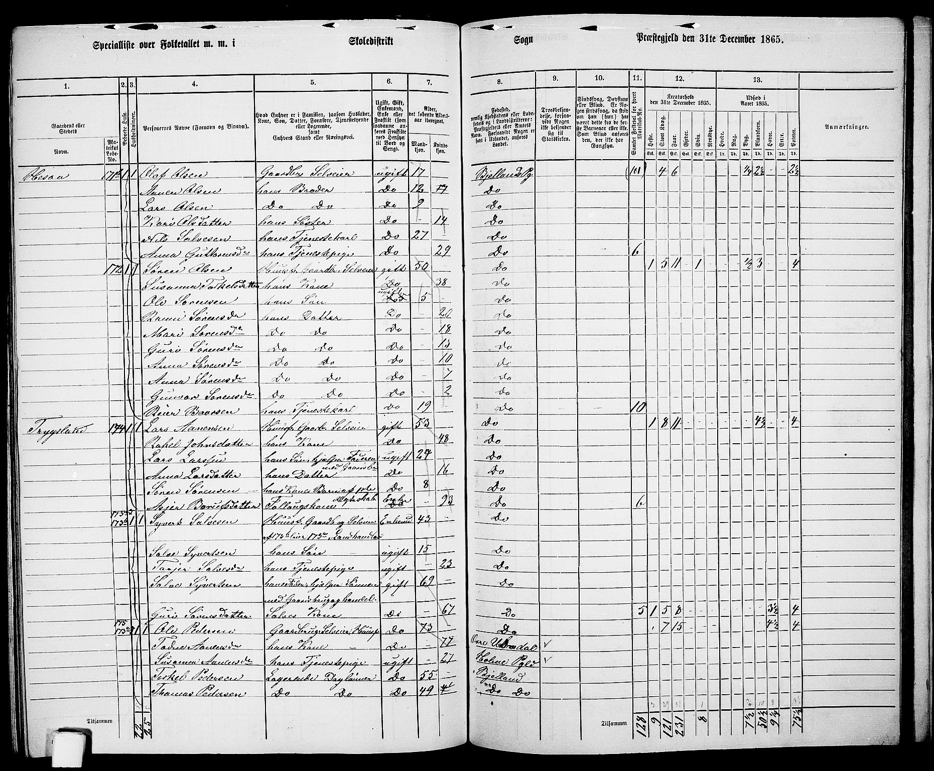 RA, 1865 census for Bjelland, 1865, p. 101