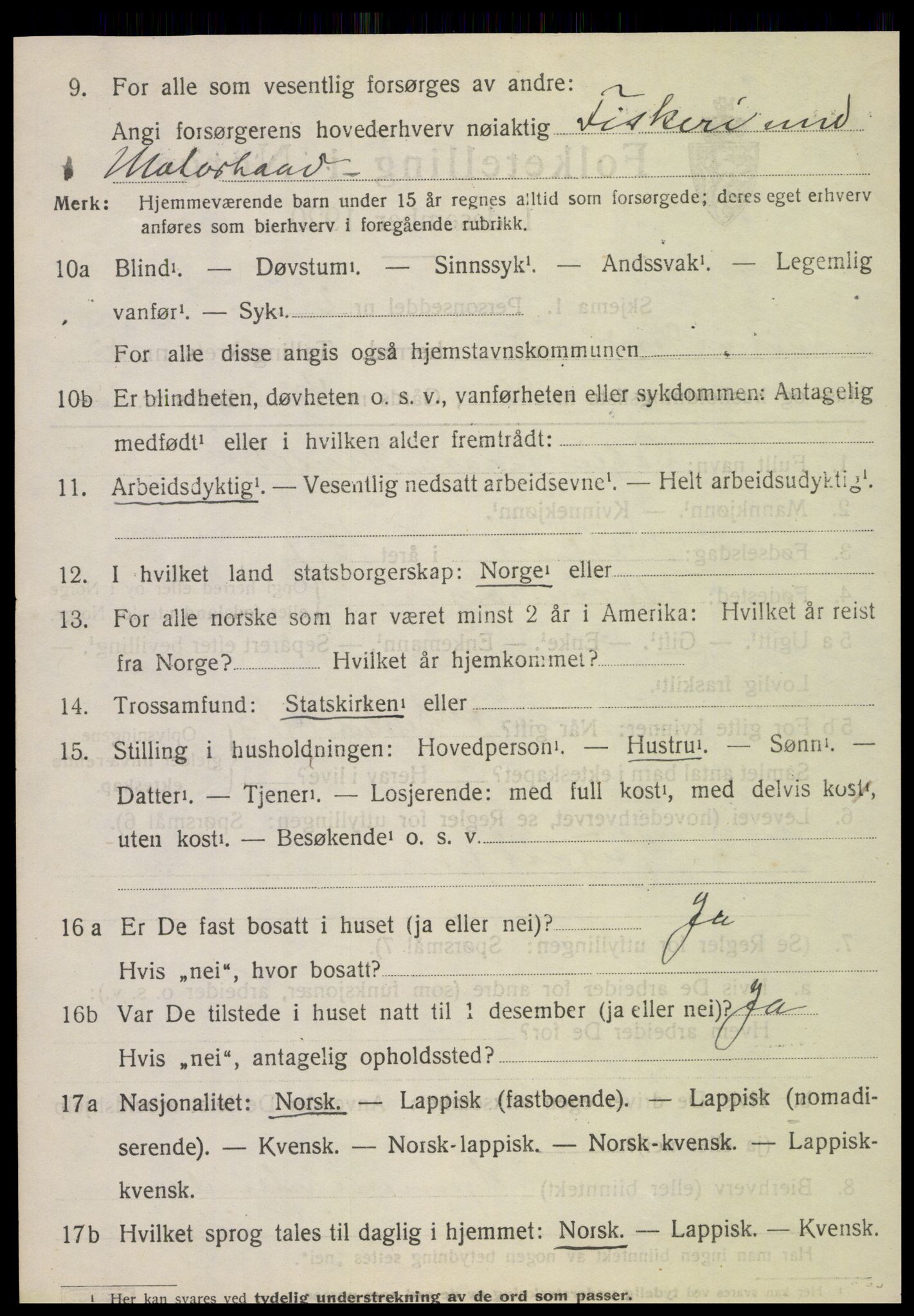 SAT, 1920 census for Vik, 1920, p. 3570