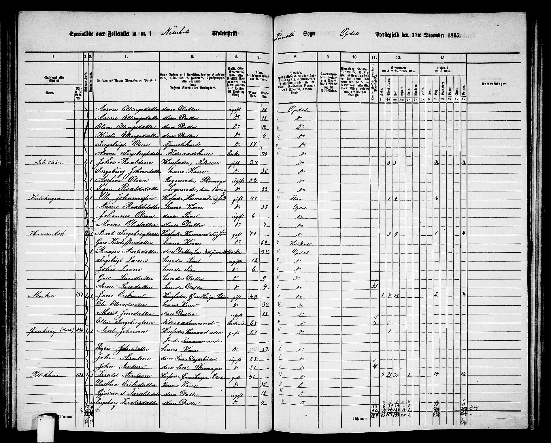 RA, 1865 census for Oppdal, 1865, p. 84