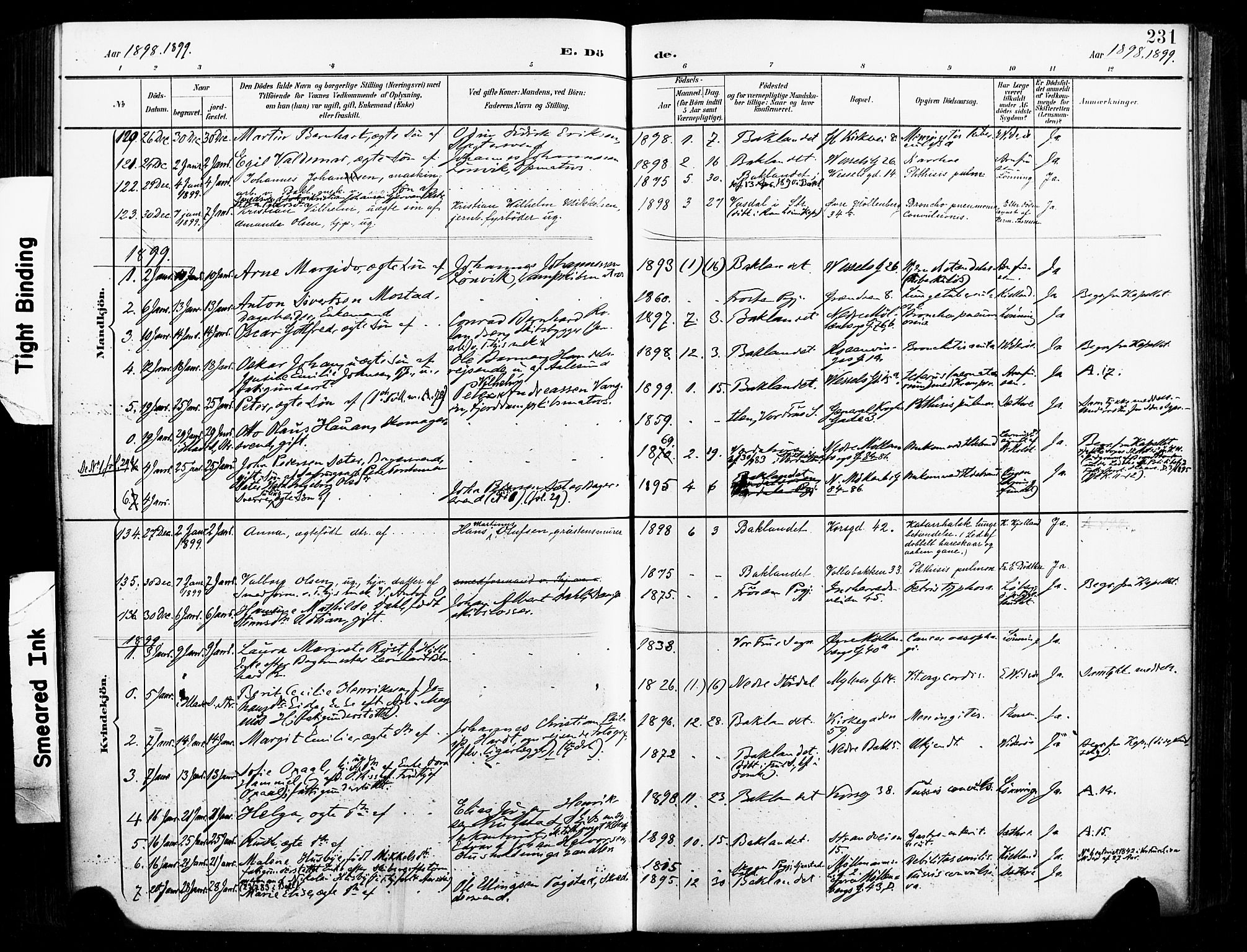 Ministerialprotokoller, klokkerbøker og fødselsregistre - Sør-Trøndelag, SAT/A-1456/604/L0198: Parish register (official) no. 604A19, 1893-1900, p. 231