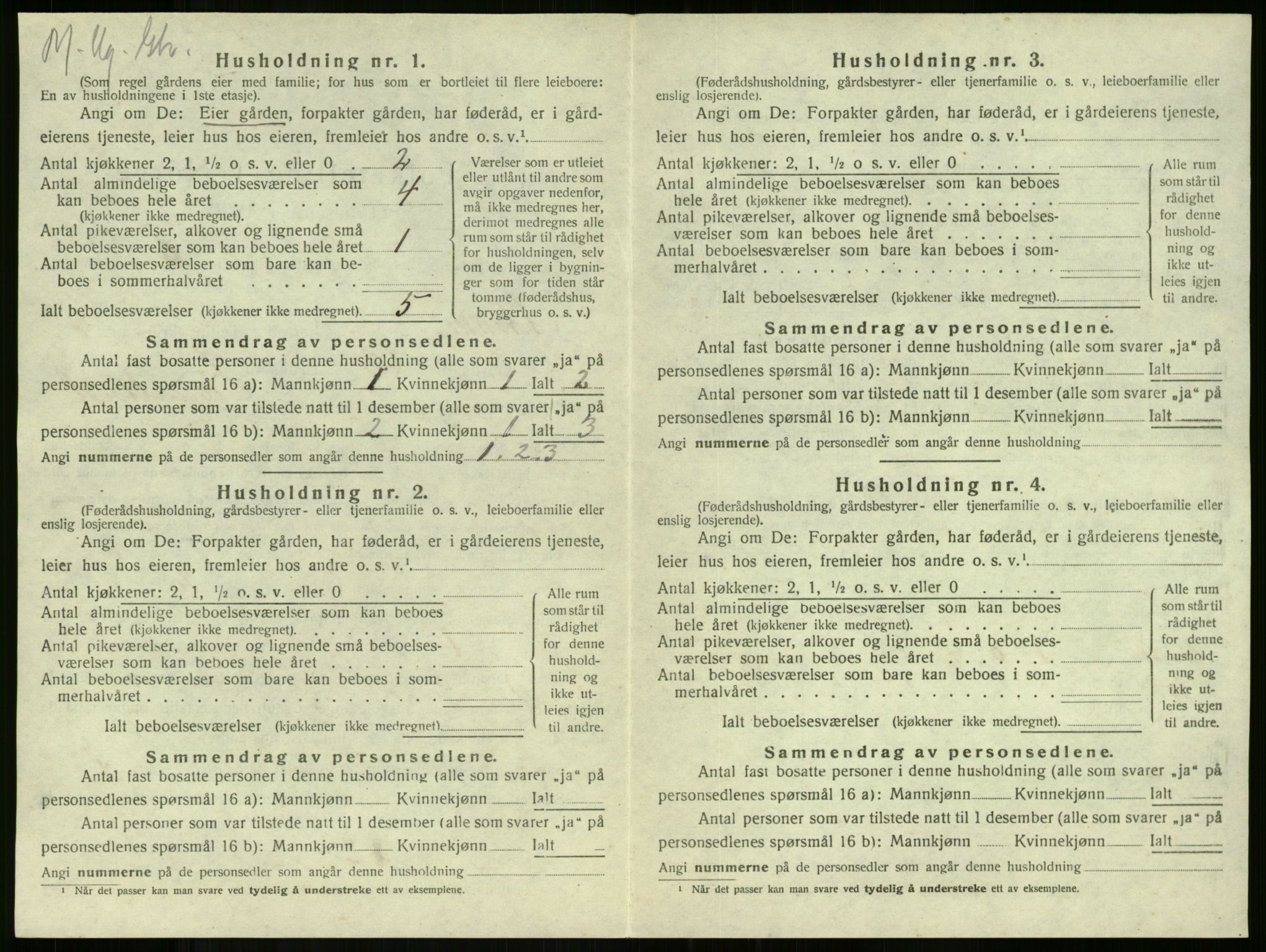 SAKO, 1920 census for Stokke, 1920, p. 1111