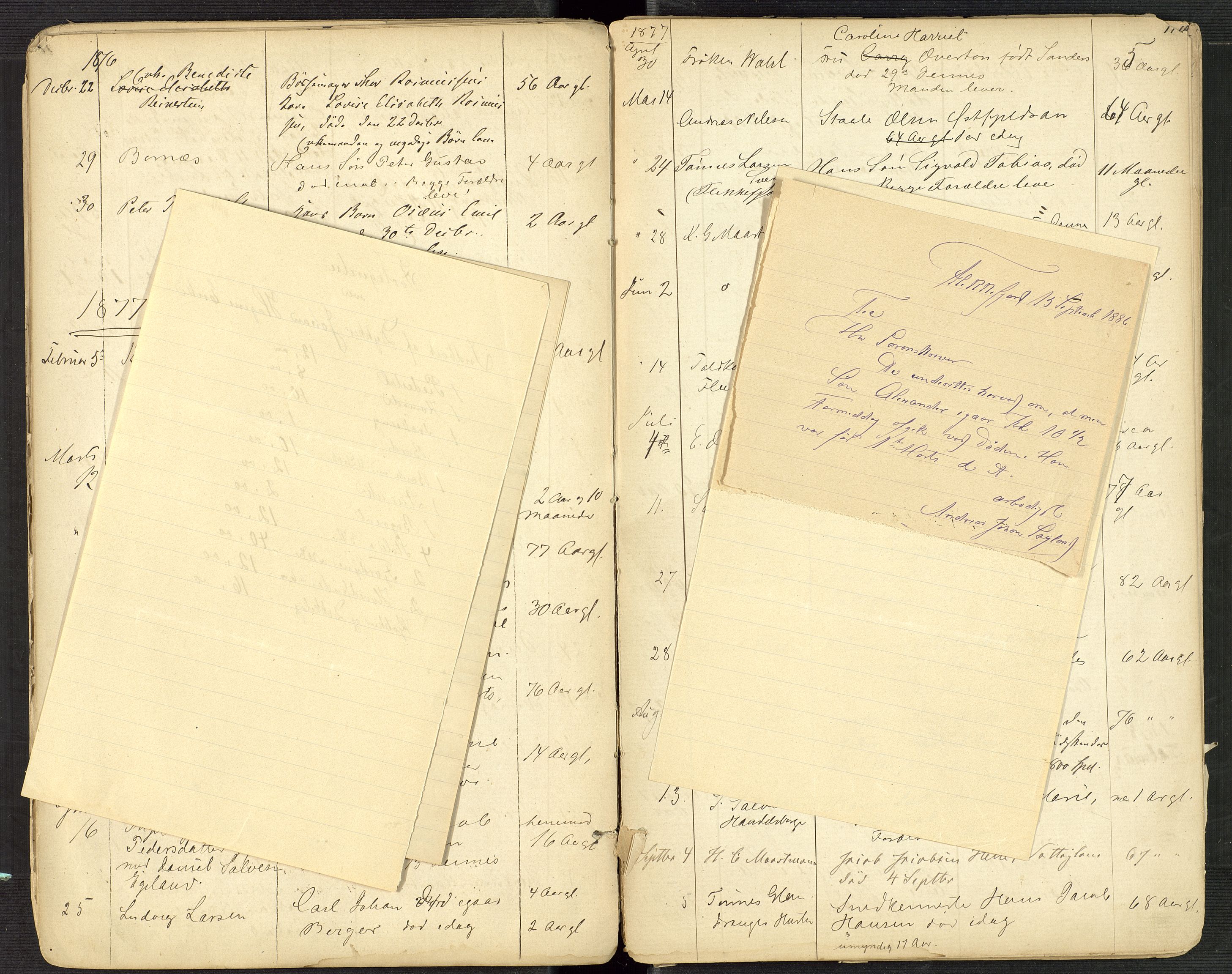 Flekkefjord byfogd, AV/SAK-1222-0002/H/Ha/L0001: Dødsfallsfortegnelse, defekt, nr 1, 1864-1907, p. 17