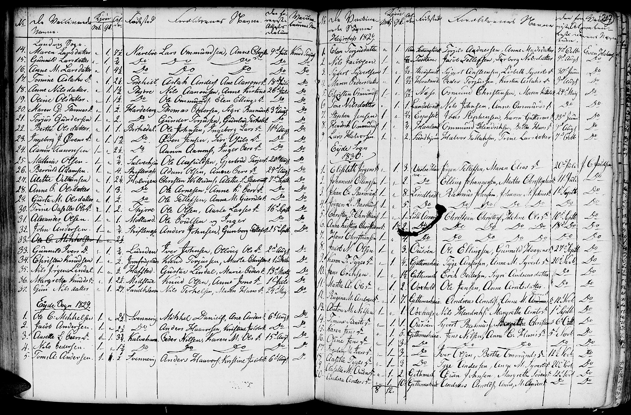 Hommedal sokneprestkontor, AV/SAK-1111-0023/F/Fa/Fab/L0002: Parish register (official) no. A 2 /1, 1741-1848, p. 207