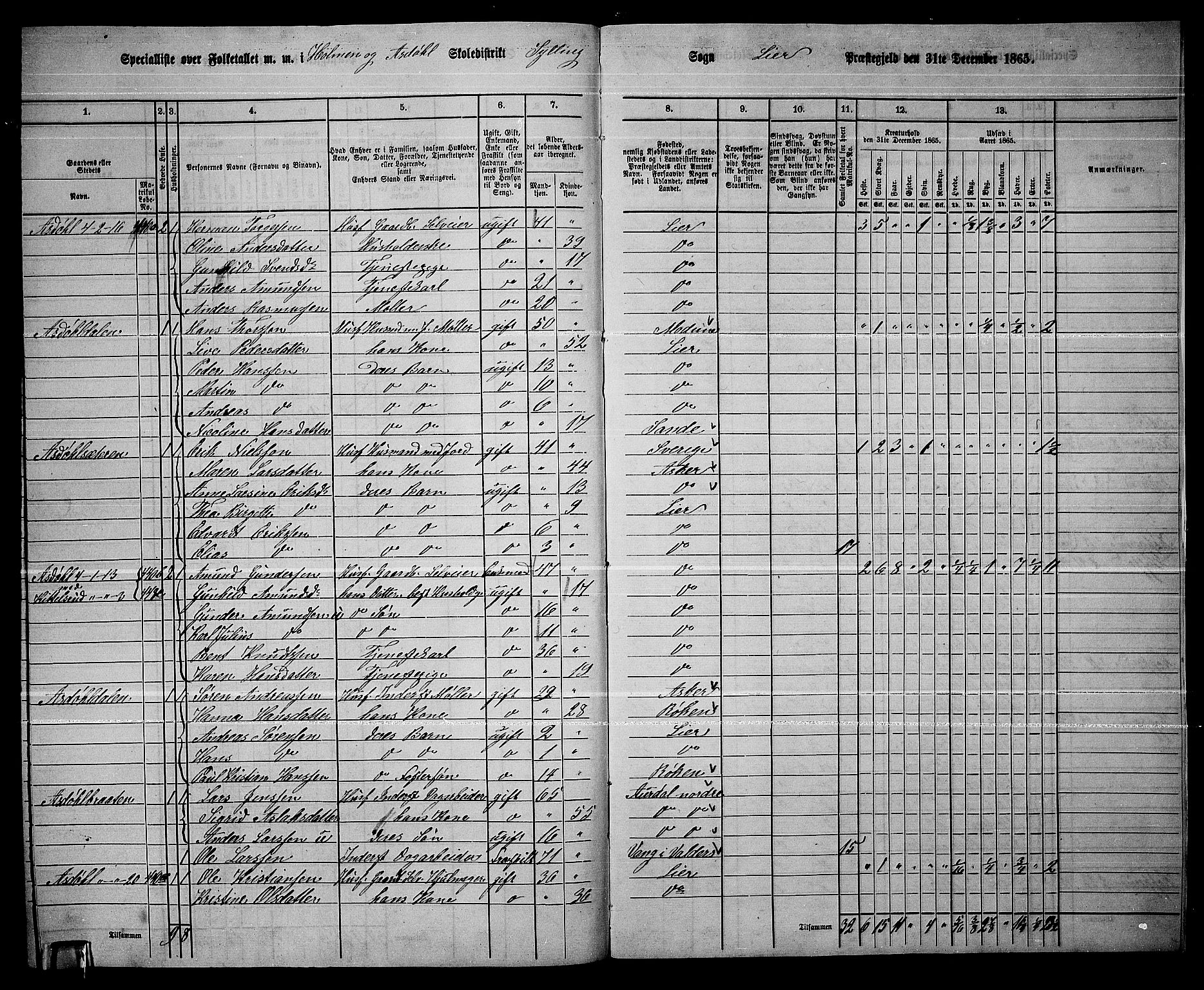 RA, 1865 census for Lier, 1865, p. 246