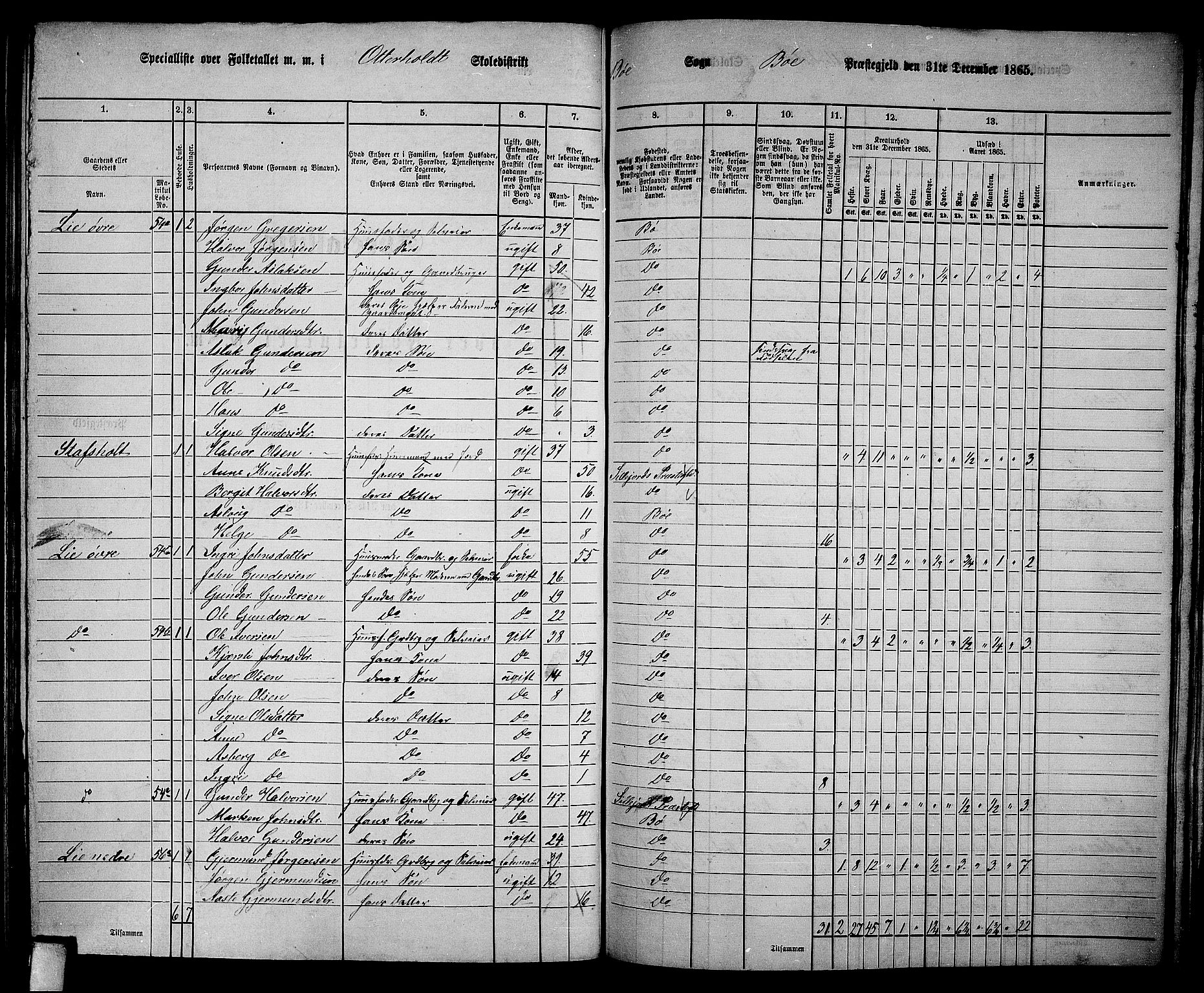 RA, 1865 census for Bø, 1865, p. 160