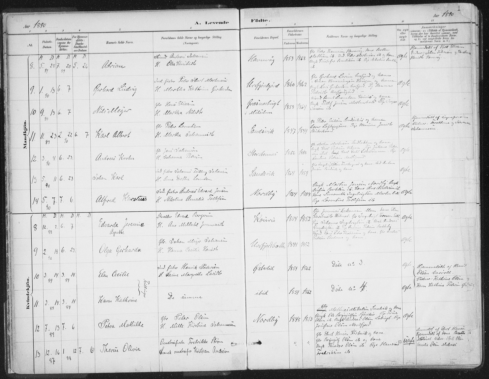 Balsfjord sokneprestembete, AV/SATØ-S-1303/G/Gaa/L0007kirke: Parish register (official) no. 7, 1887-1909, p. 15
