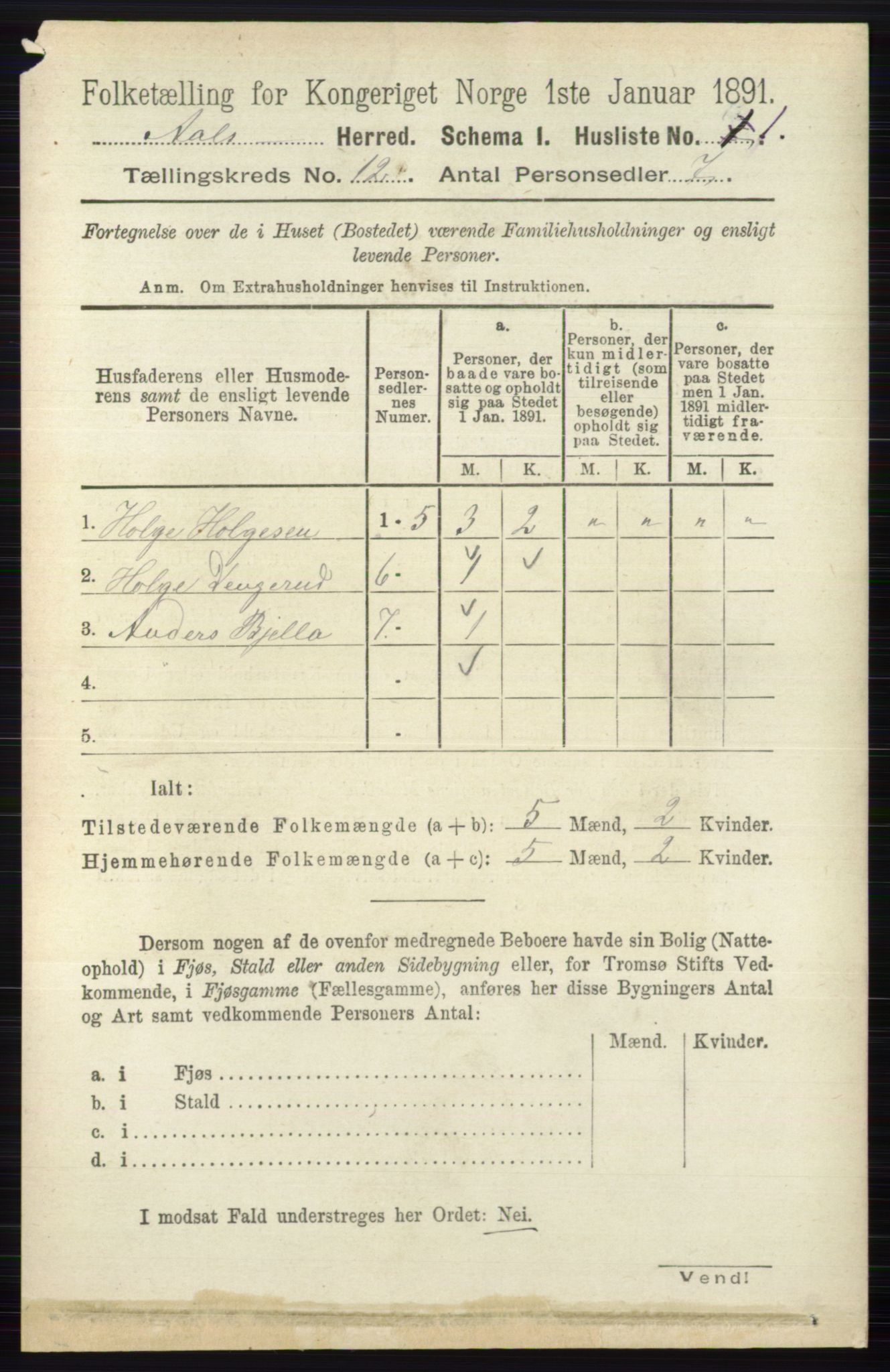 RA, 1891 census for 0619 Ål, 1891, p. 2970