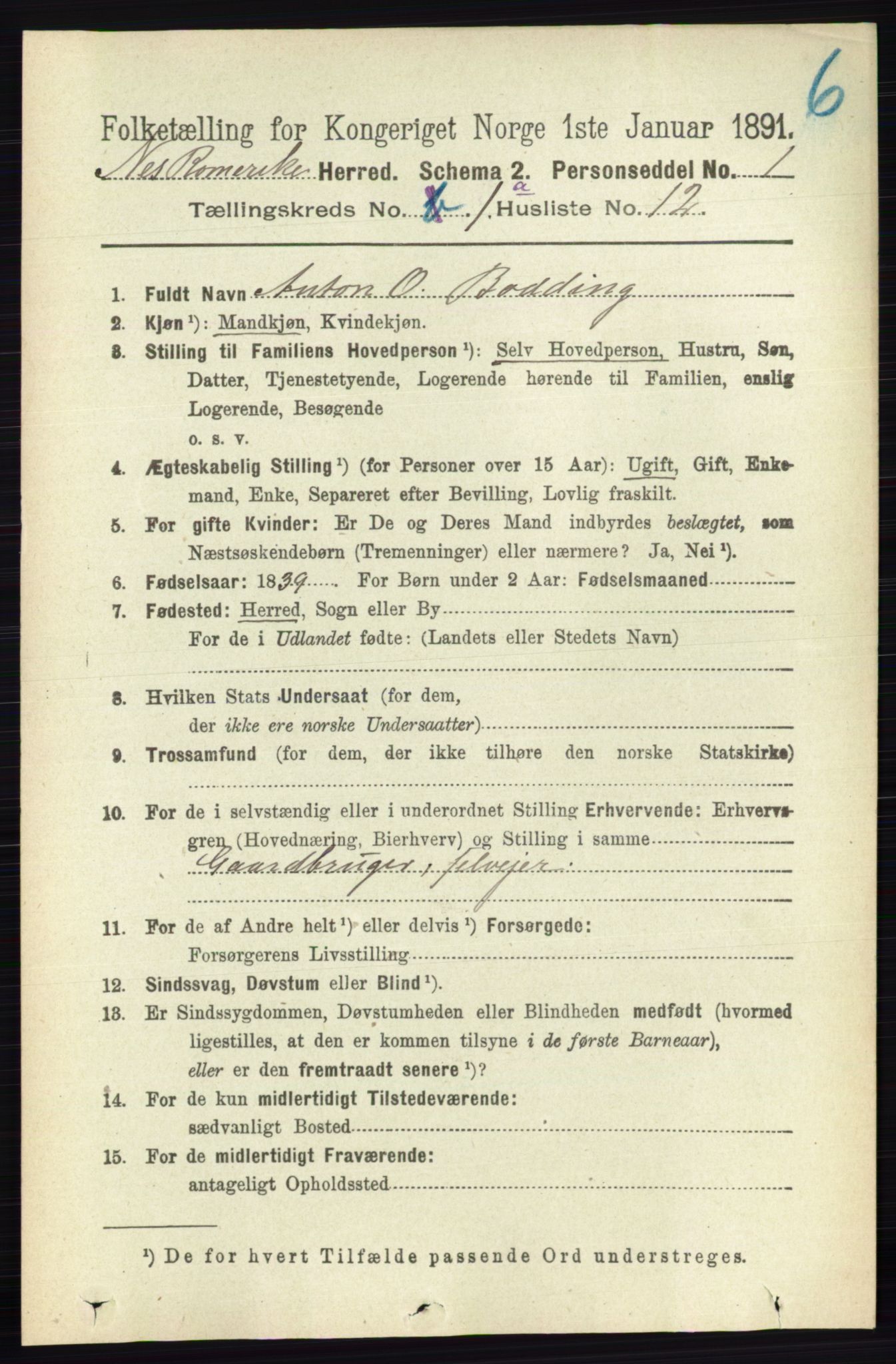 RA, 1891 census for 0236 Nes, 1891, p. 180