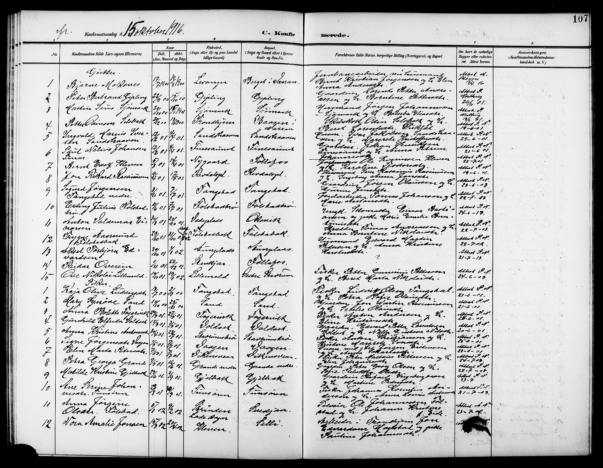 Ministerialprotokoller, klokkerbøker og fødselsregistre - Nord-Trøndelag, SAT/A-1458/744/L0424: Parish register (copy) no. 744C03, 1906-1923, p. 107