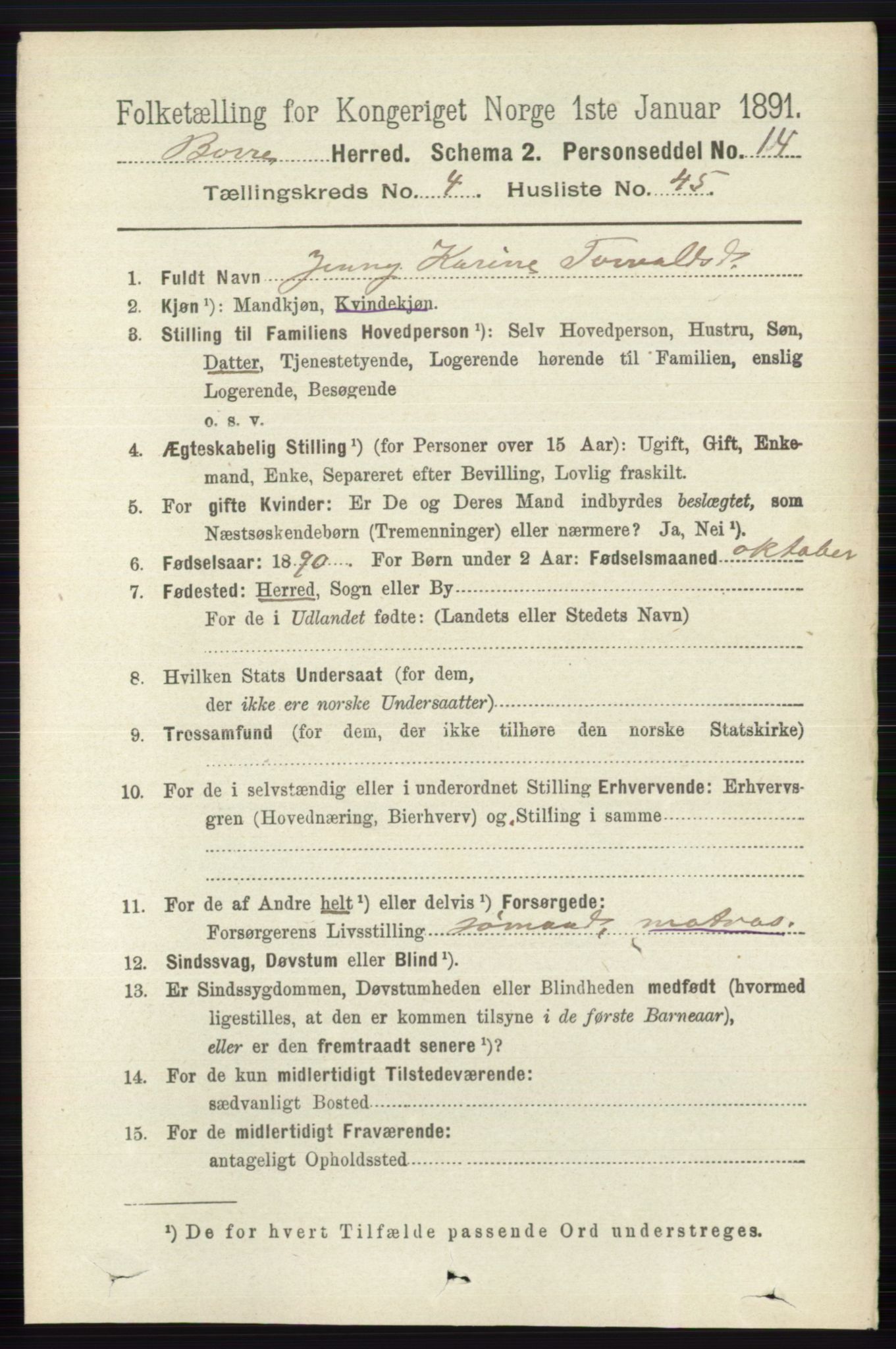 RA, 1891 census for 0717 Borre, 1891, p. 1918