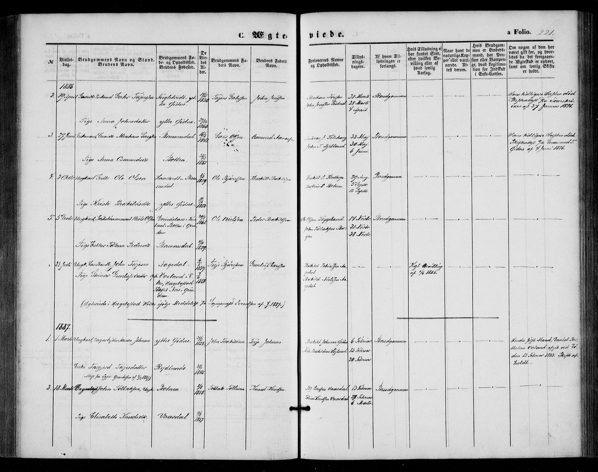 Bjelland sokneprestkontor, SAK/1111-0005/F/Fa/Fac/L0002: Parish register (official) no. A 2, 1866-1887, p. 221