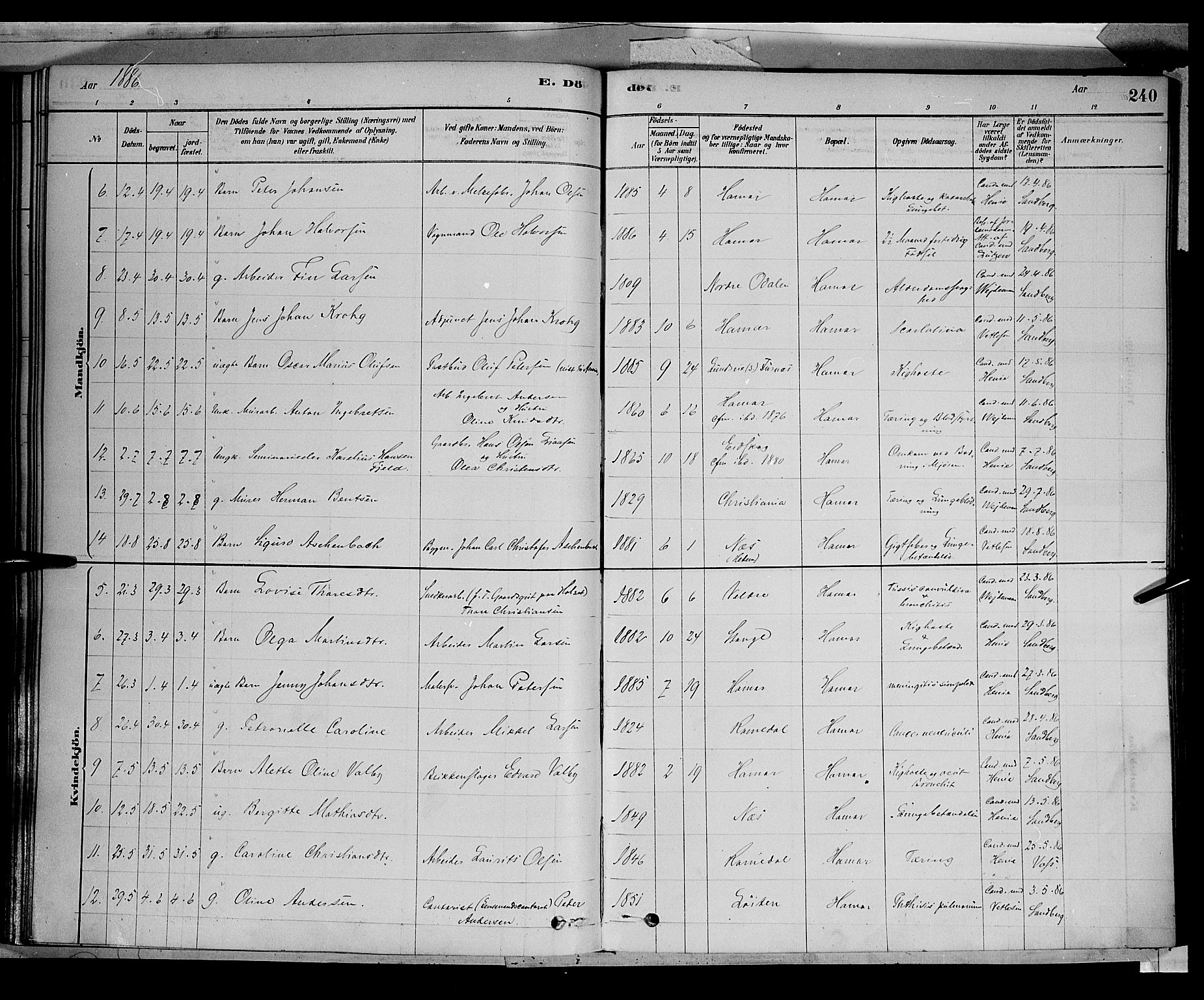 Vang prestekontor, Hedmark, AV/SAH-PREST-008/H/Ha/Haa/L0016: Parish register (official) no. 16, 1878-1889, p. 240